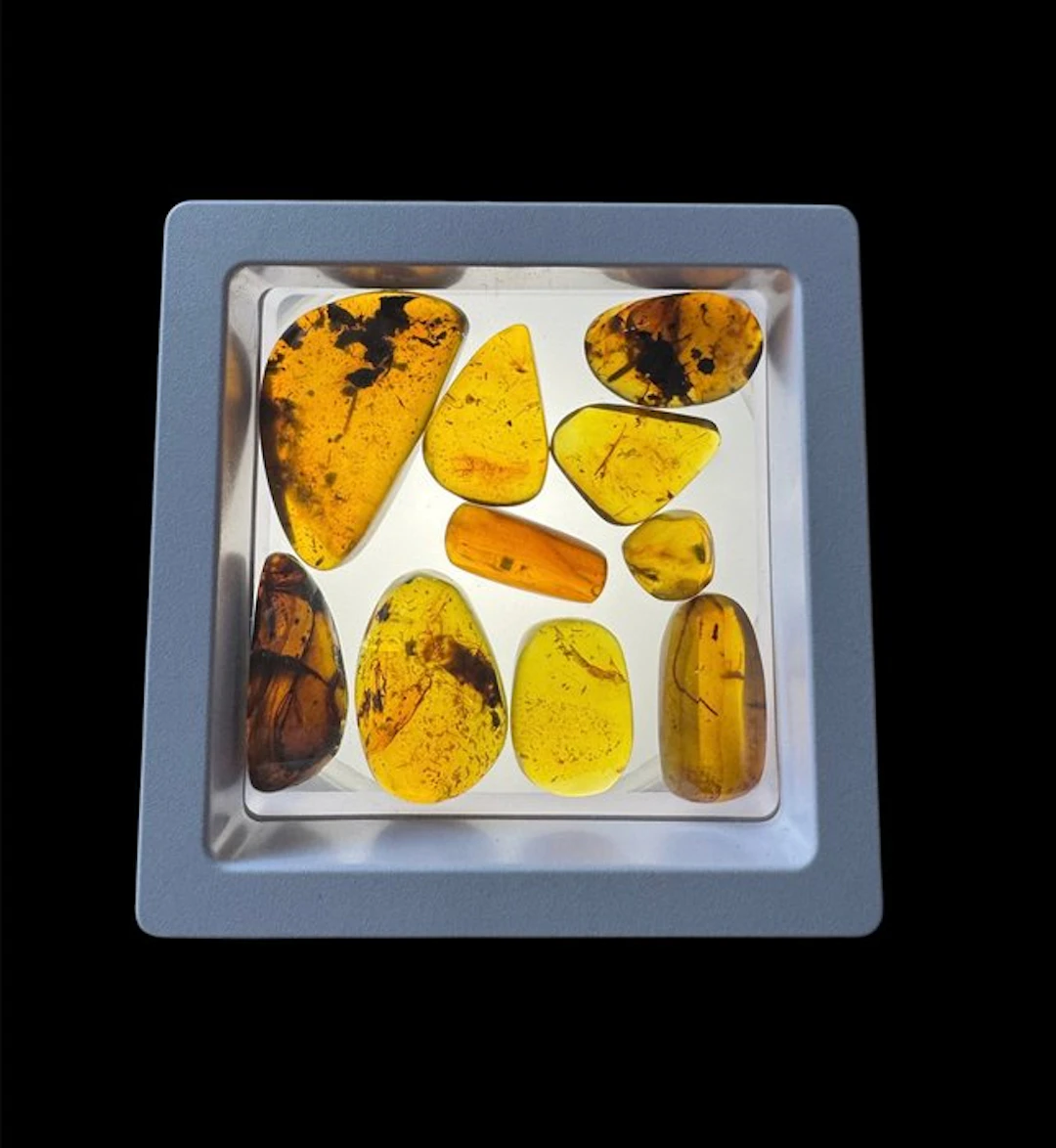 Burmese amber - Amber - 10 Burmese Amber Pieces with...