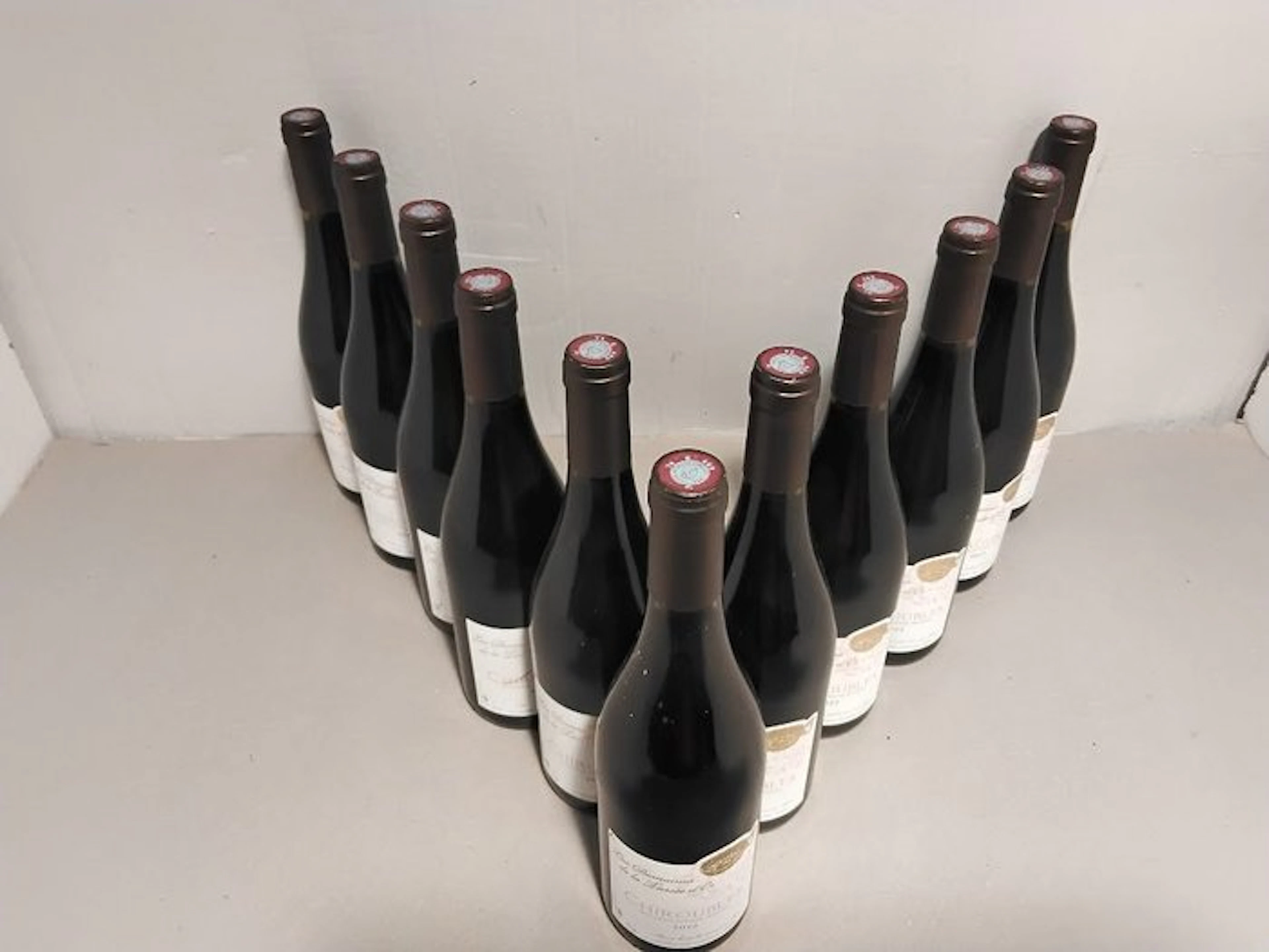 2022 Les Domaines de la Tassée d'Or - Chiroubles - 11 Bottles (0.75L)