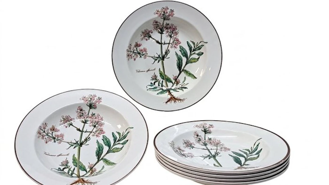 Villeroy & Boch - Dinner plate (6) - Botanica...