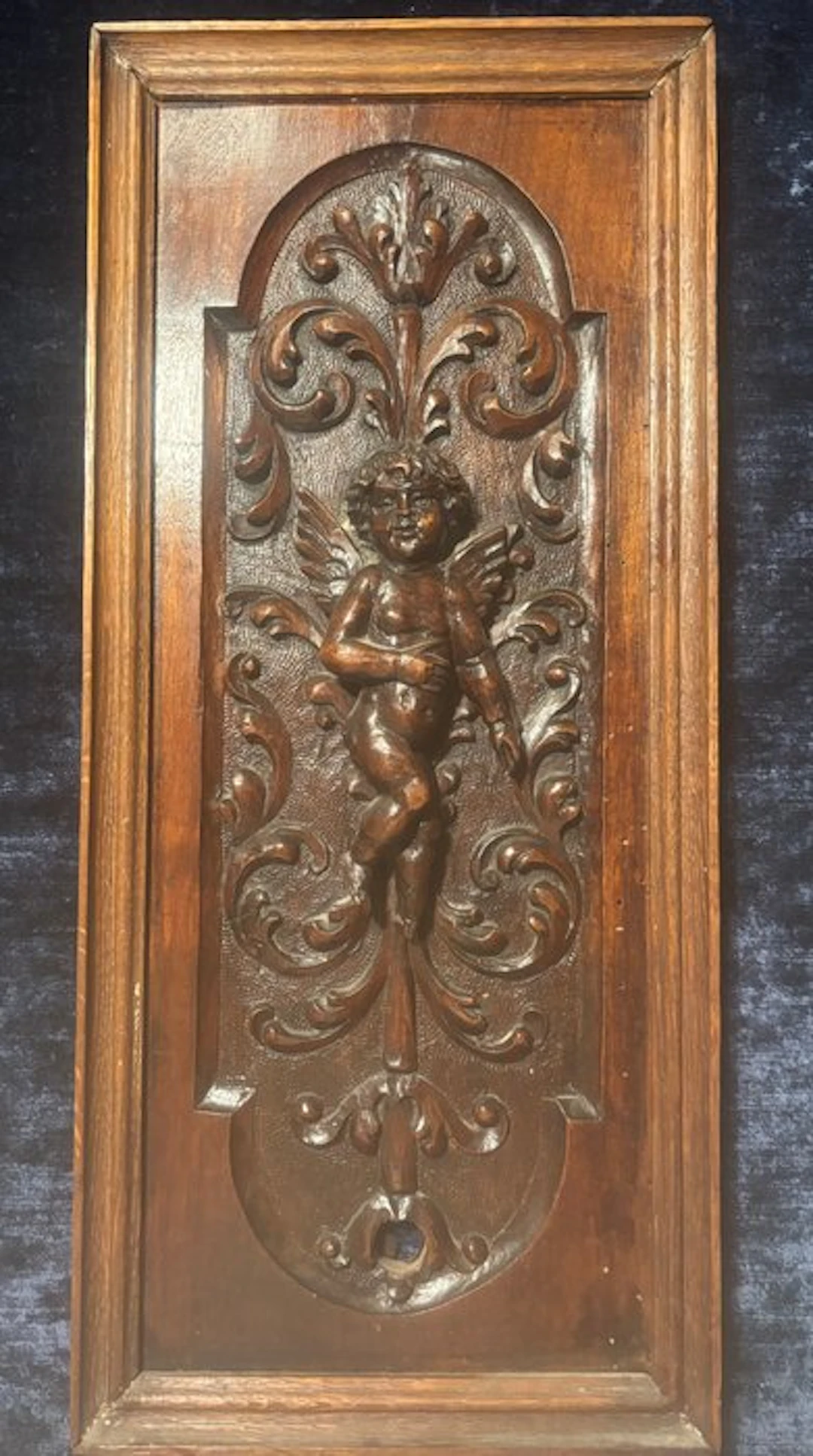Relief, Cherubino alato e racemi XIX sec - 53 cm - Wood