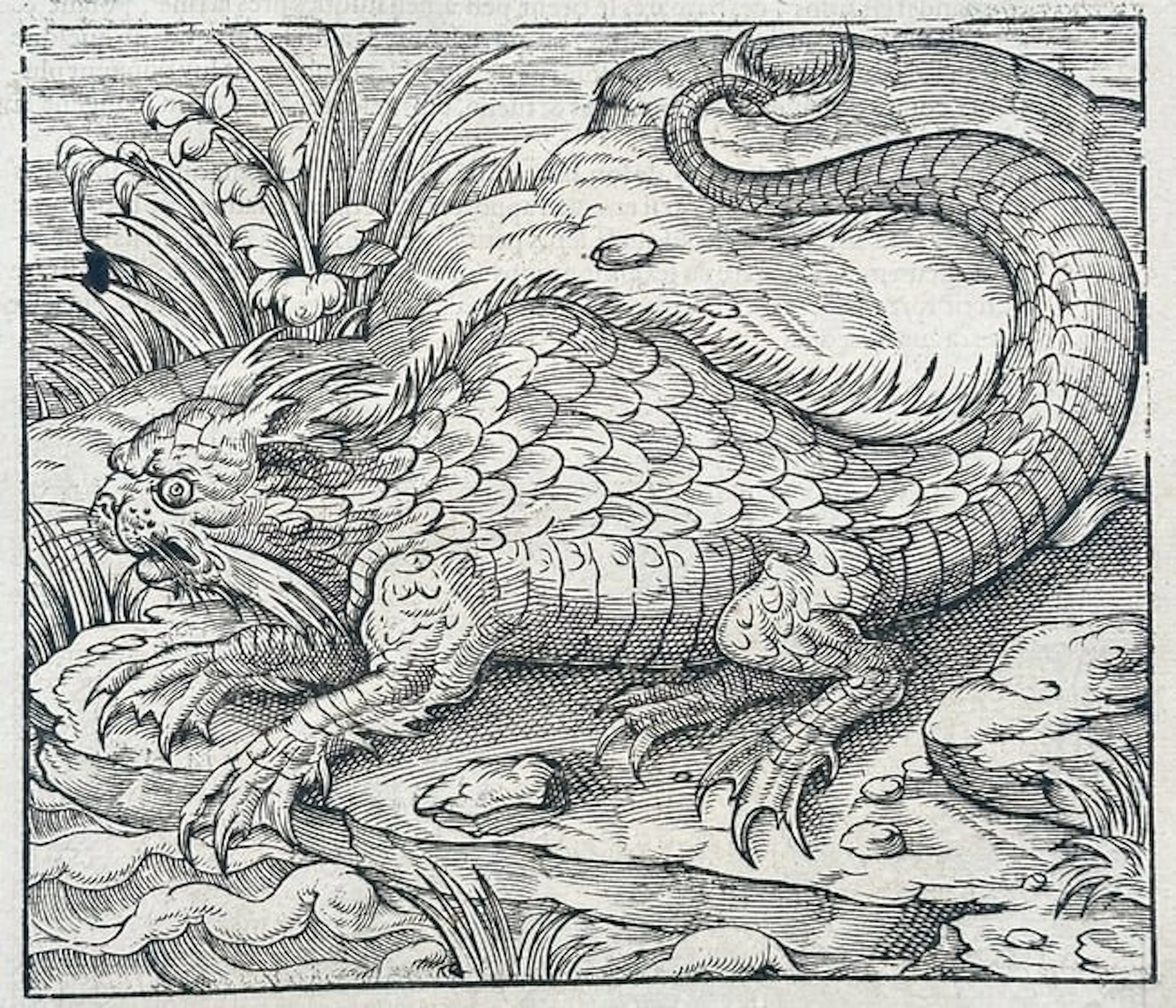 Ambroise Paré (1510–1590) - Zoological Sea Monster / Des Monstres