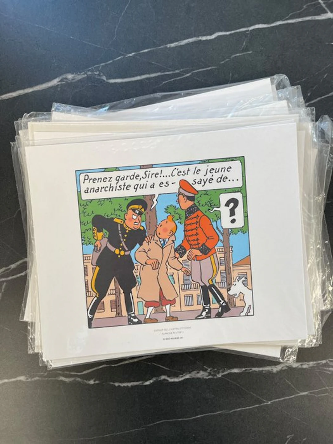 Tintin - Tintin – Série de 66 sérigraphies (22 paquets de...