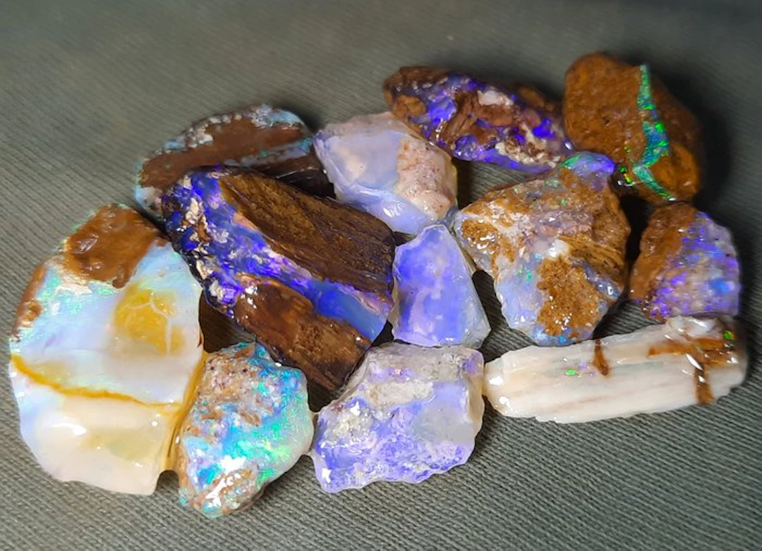 45.2 ct - "RARE" Lot of Natural Opal Wood Fossil - Rough - Top Colors- 9 g