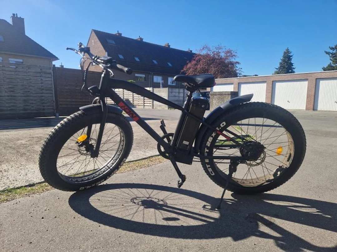 ION - Custom bicycle - 2022