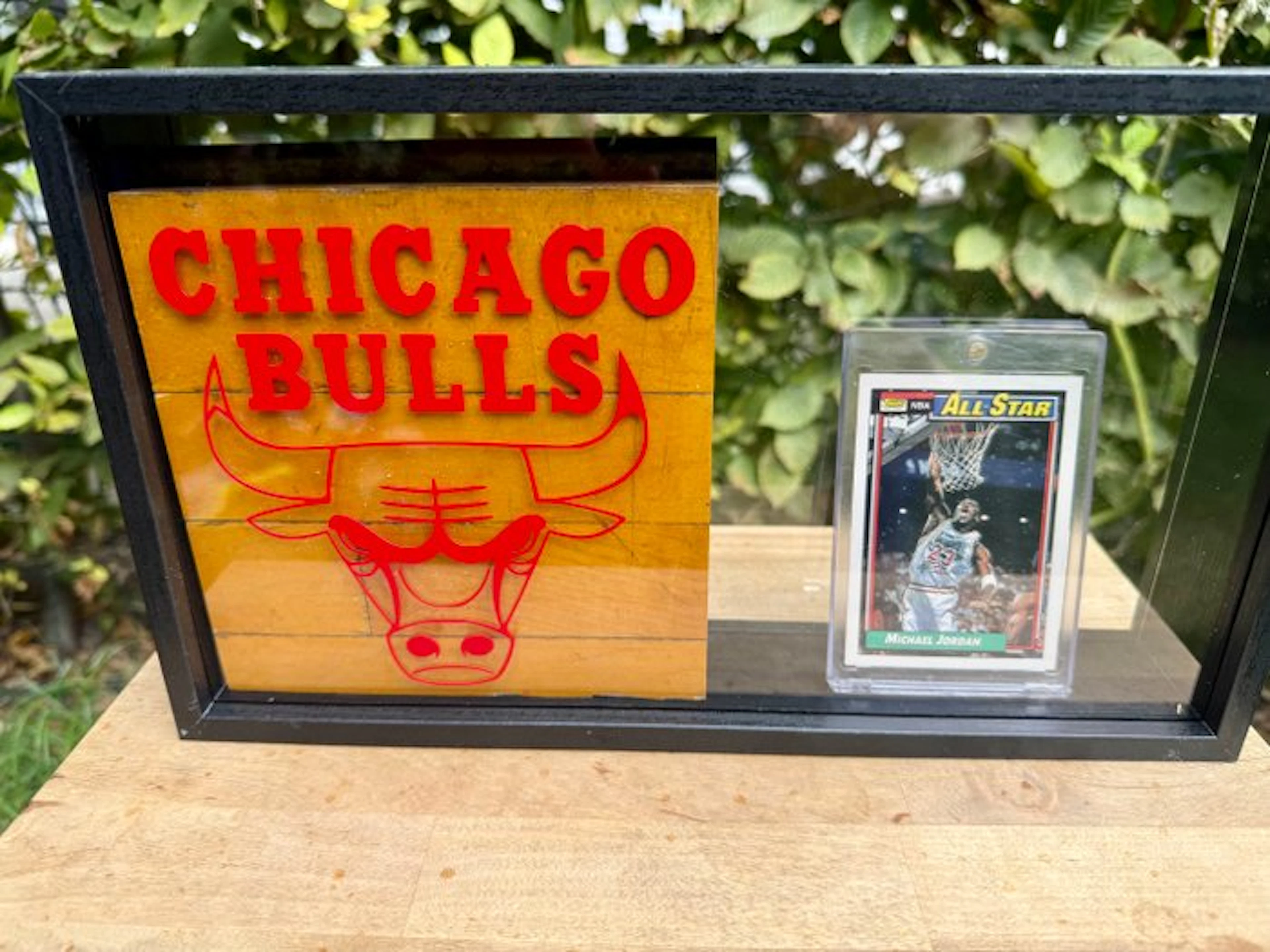 Chicago Bulls