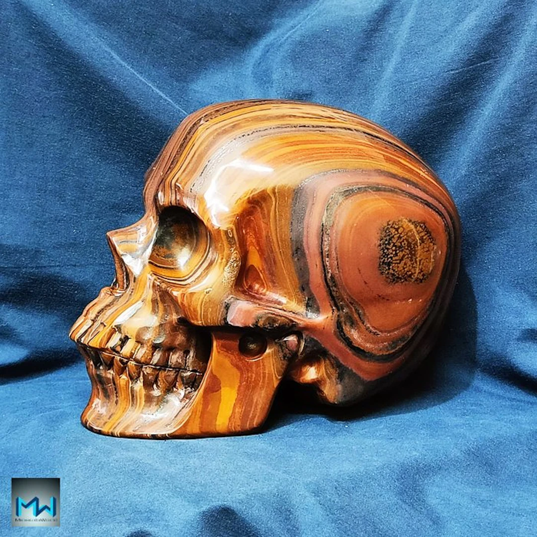 8" Enormous Human Skull