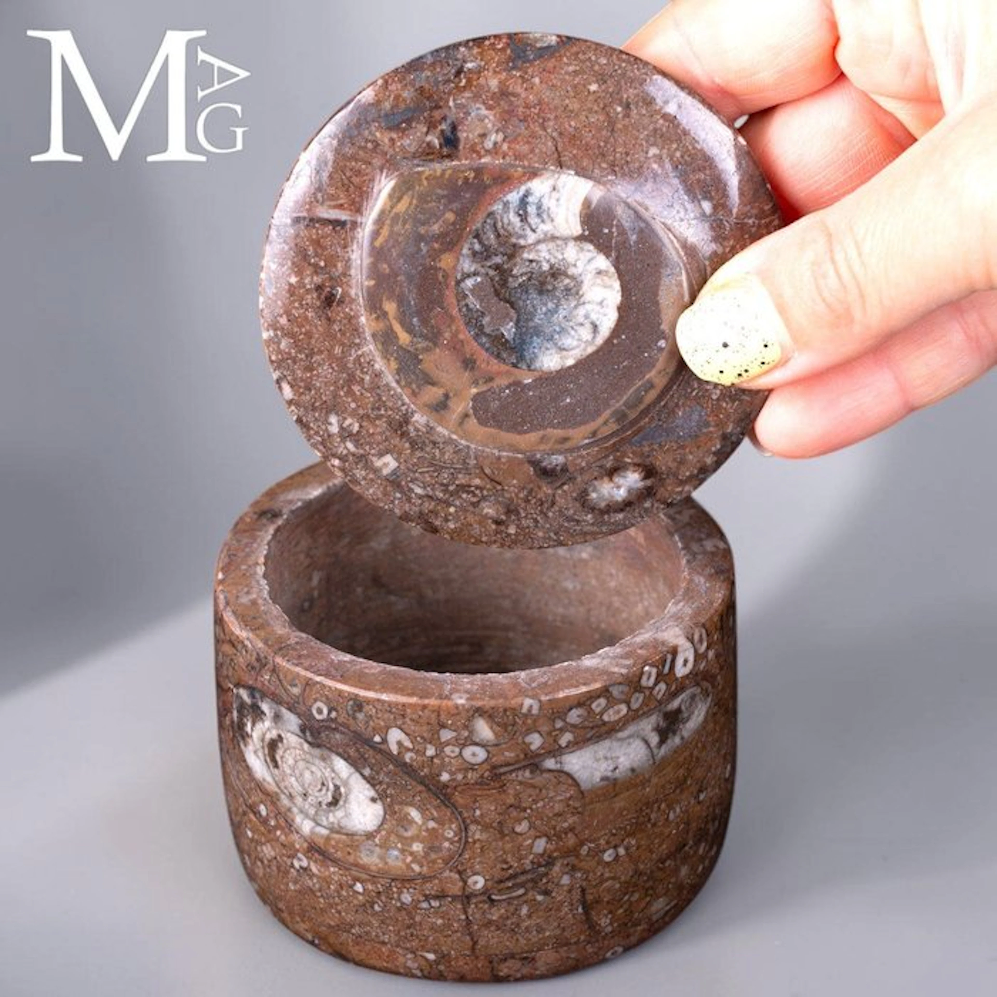 Round Jewelry Box Fossil Matrix with Ammonite and...