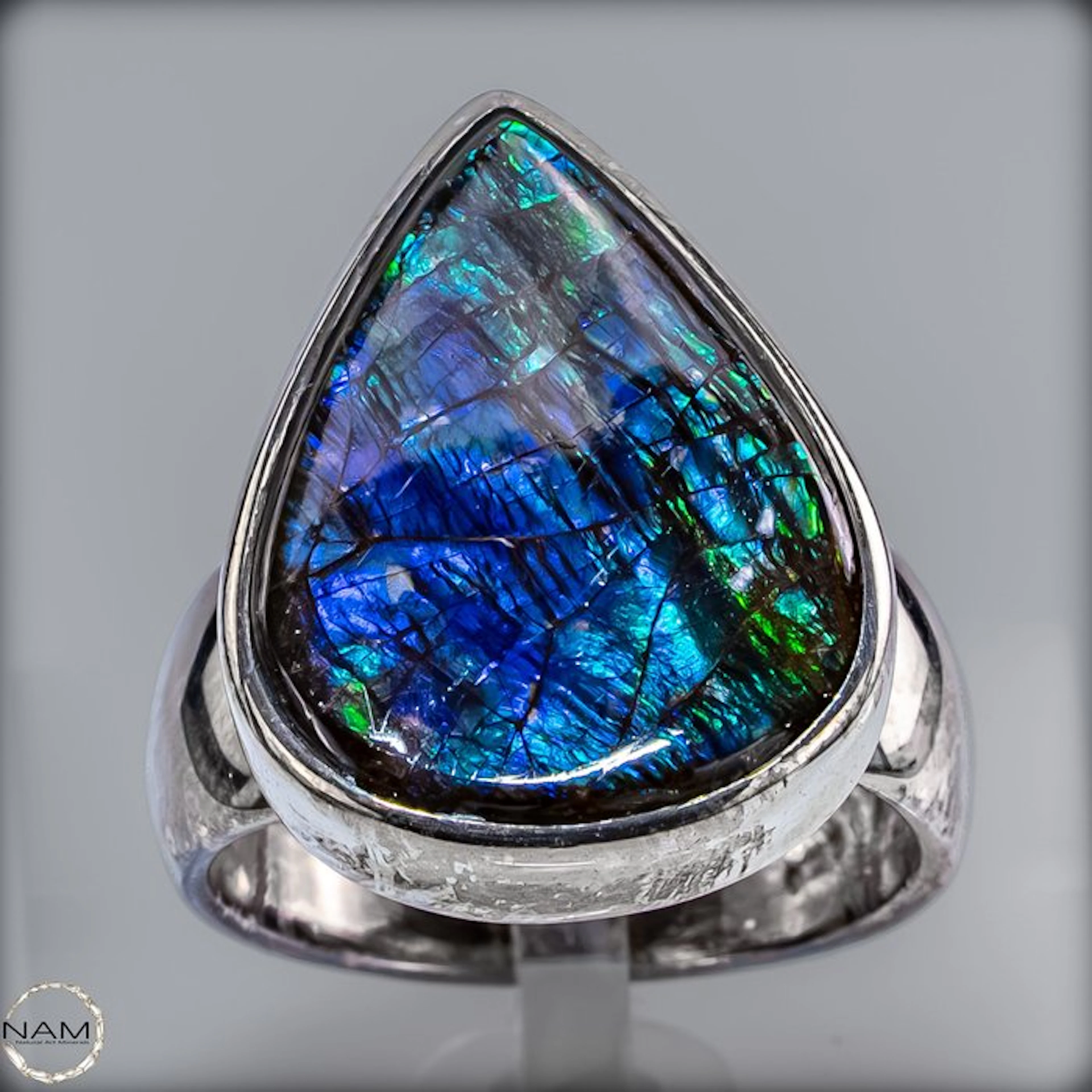 Ammolit-Ring – Fascinating color play of an ancient ammonite 59.6 ct- 11.92 g