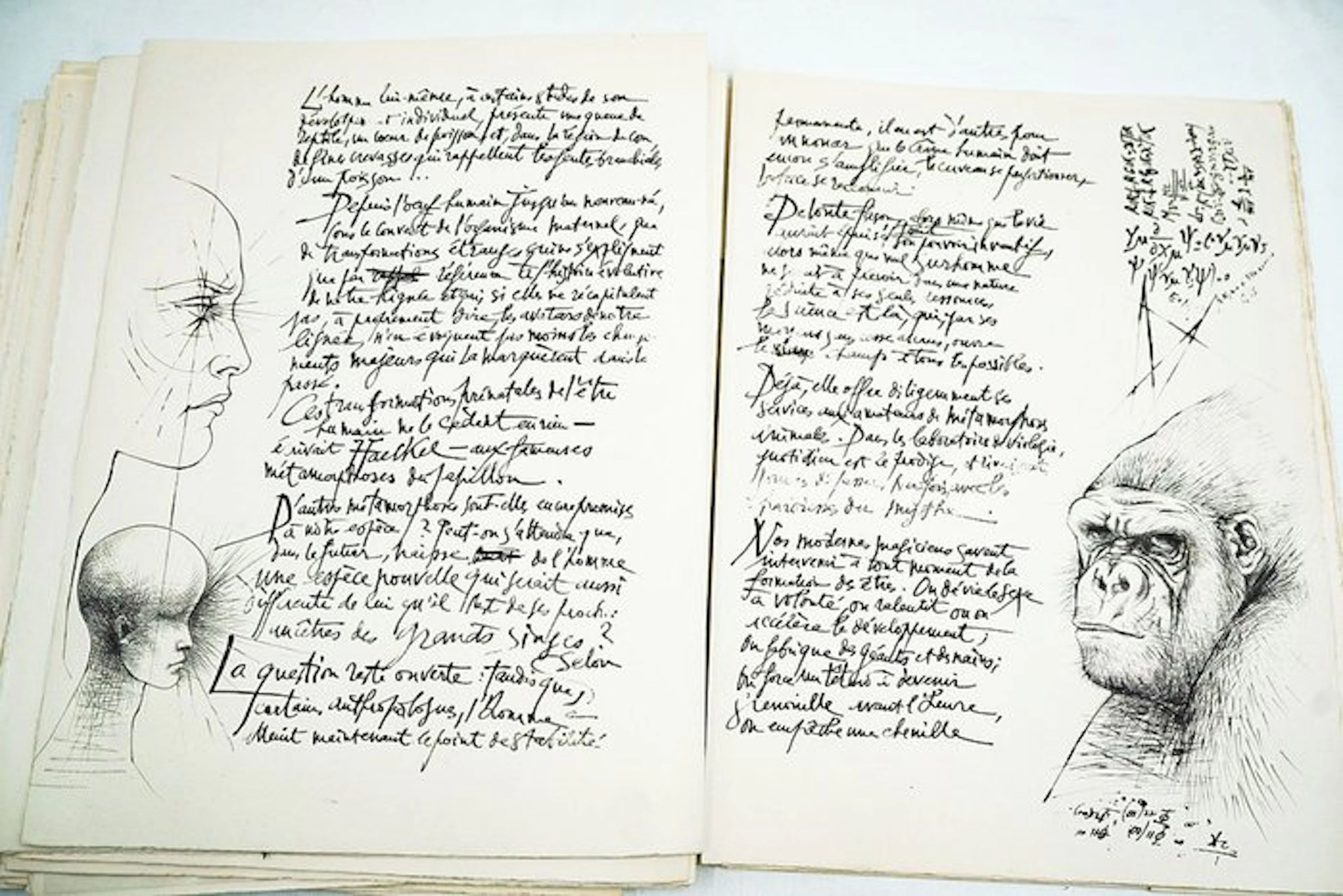 Pierre-Yves Trémois - METAMORPHOSES - 1968-1968
