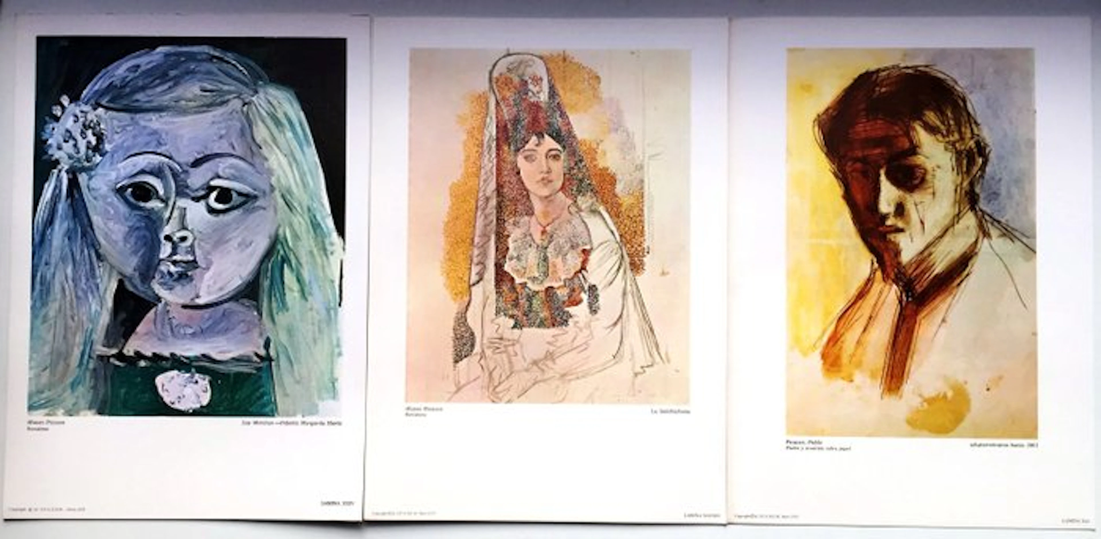 Pablo Picasso - Pablo Picasso - 3 Laminas - Museo Picasso...