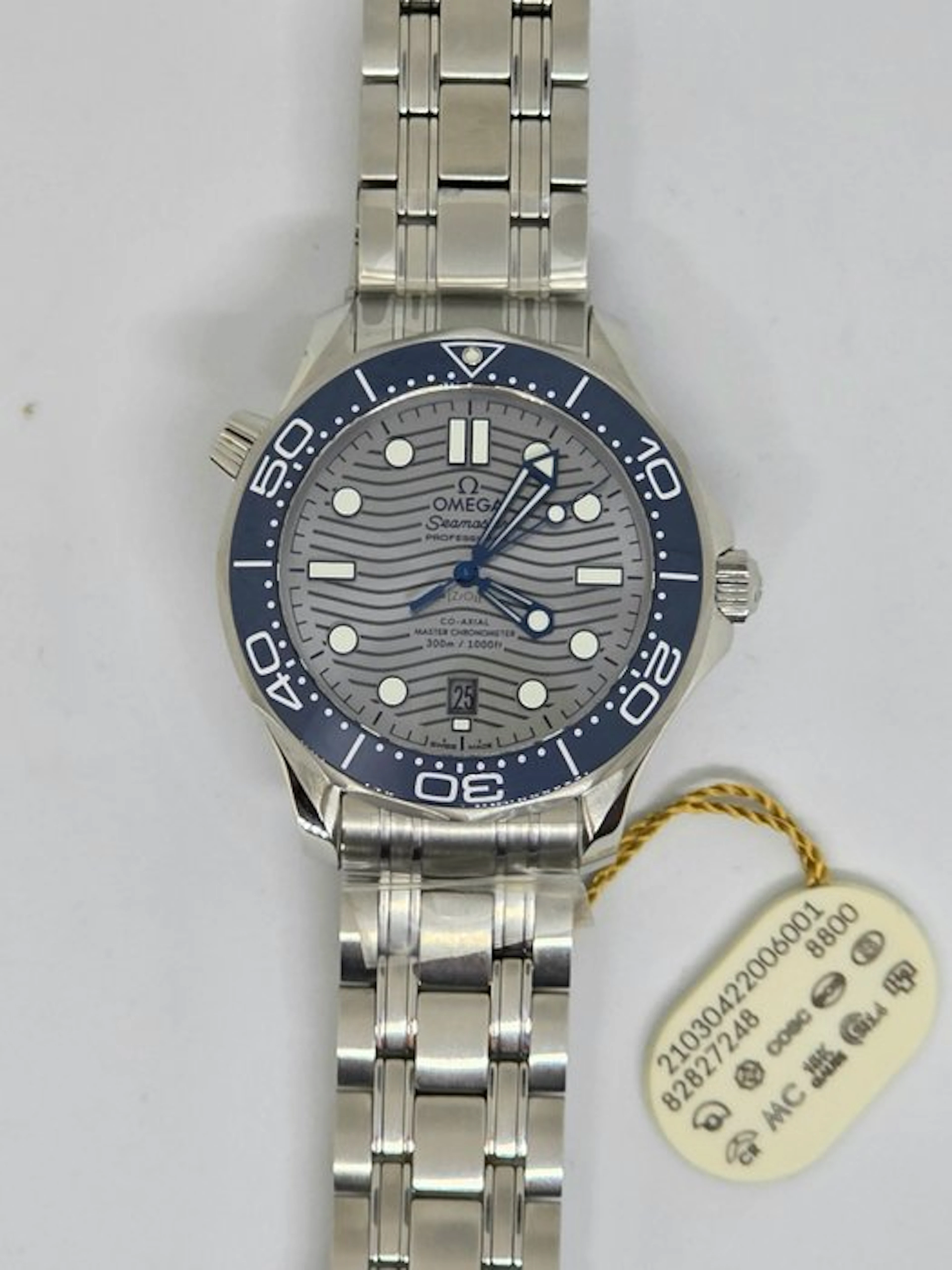 Omega - Seamaster - 210.30.42.20.06.001 - Men - 2020