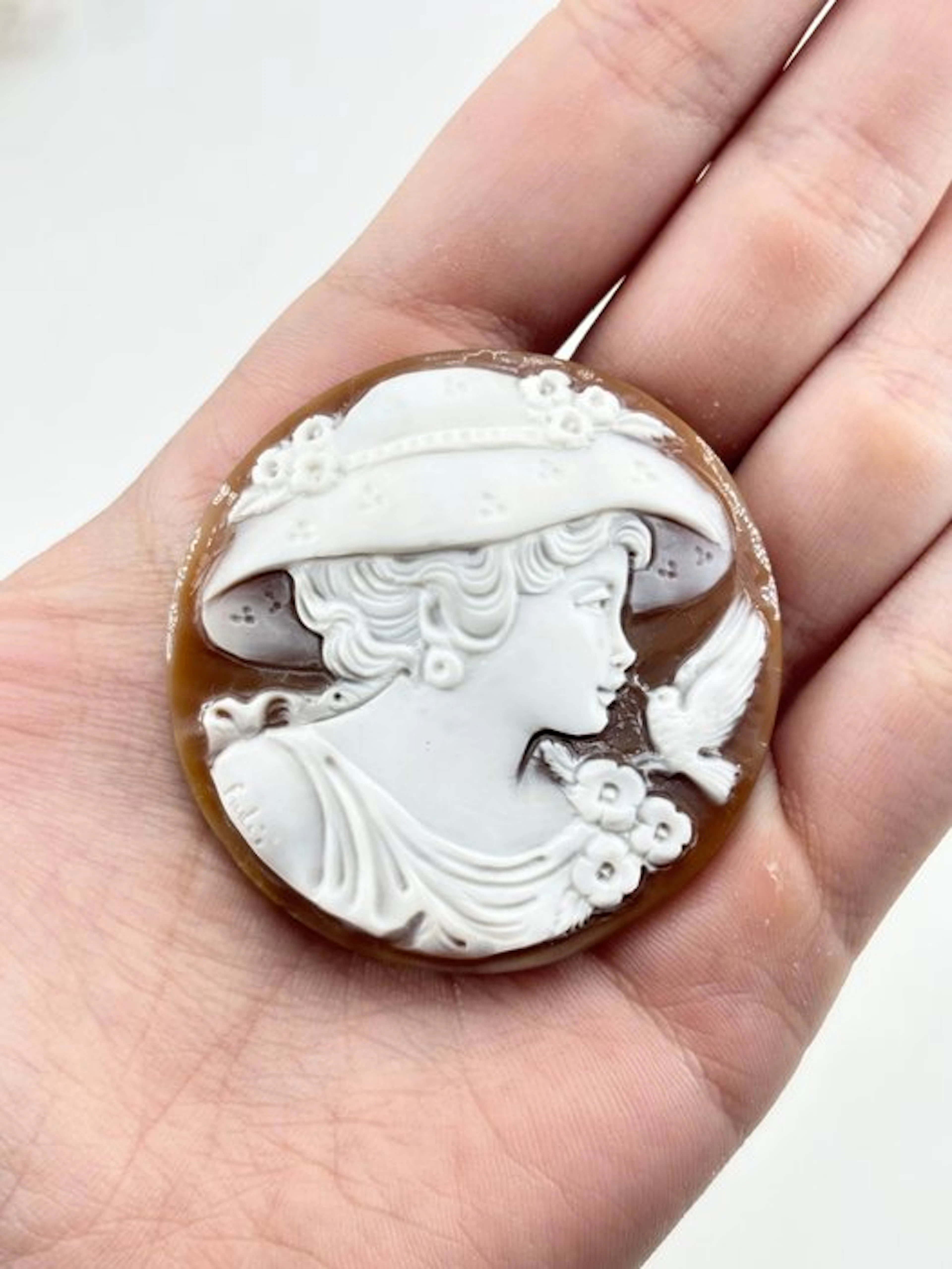 Cassis madagascariensis - Cameo - Hand-carved cameo