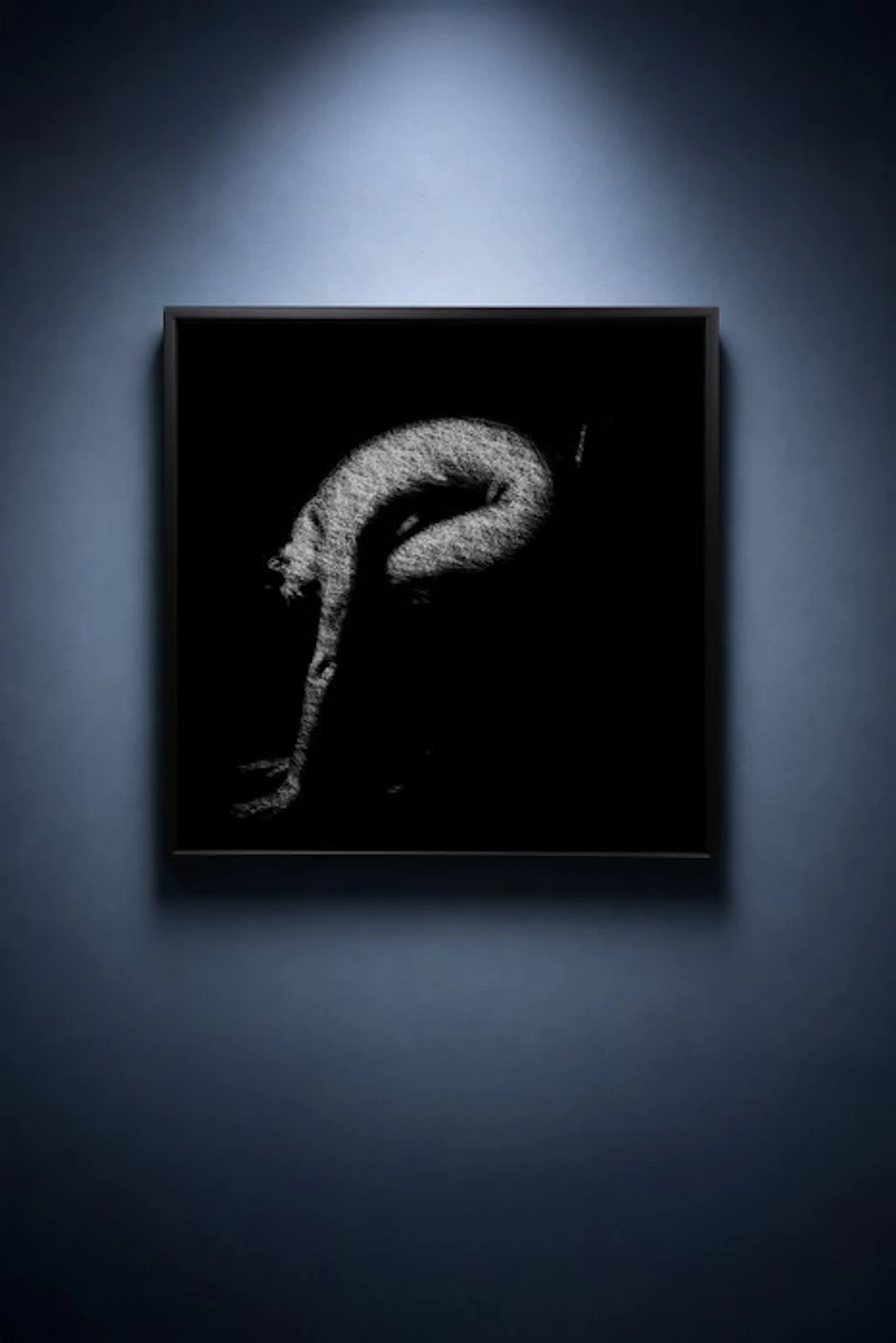 Tijs Dragtsma (1992) - The Body Becomes a Question Mark