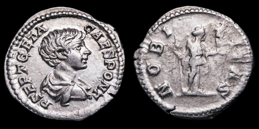 Roman Empire. Geta (AD 209-211). Denarius NOBILITAS (No reserve price)