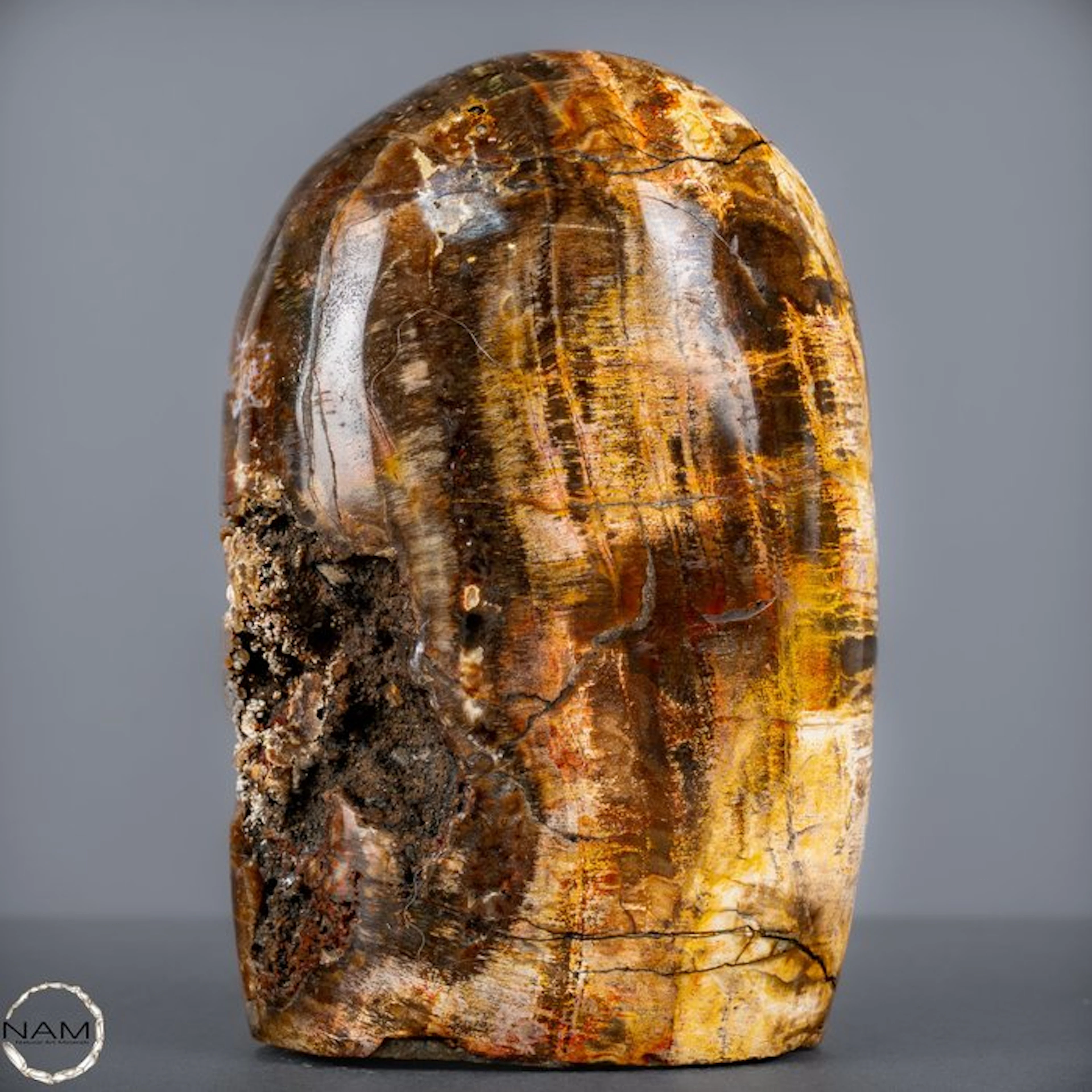 Petrified Wood Freeform – A Unique Natural Work of Art...