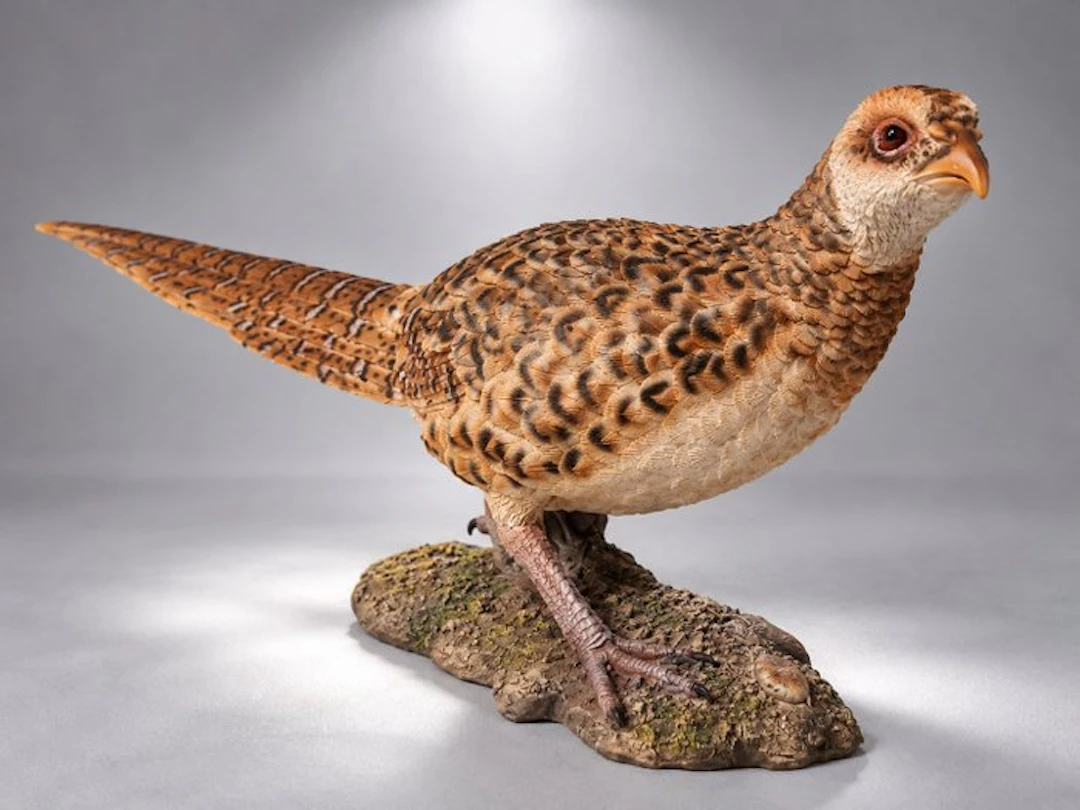 Statue, Pheasant hen - 25 cm - polyresin