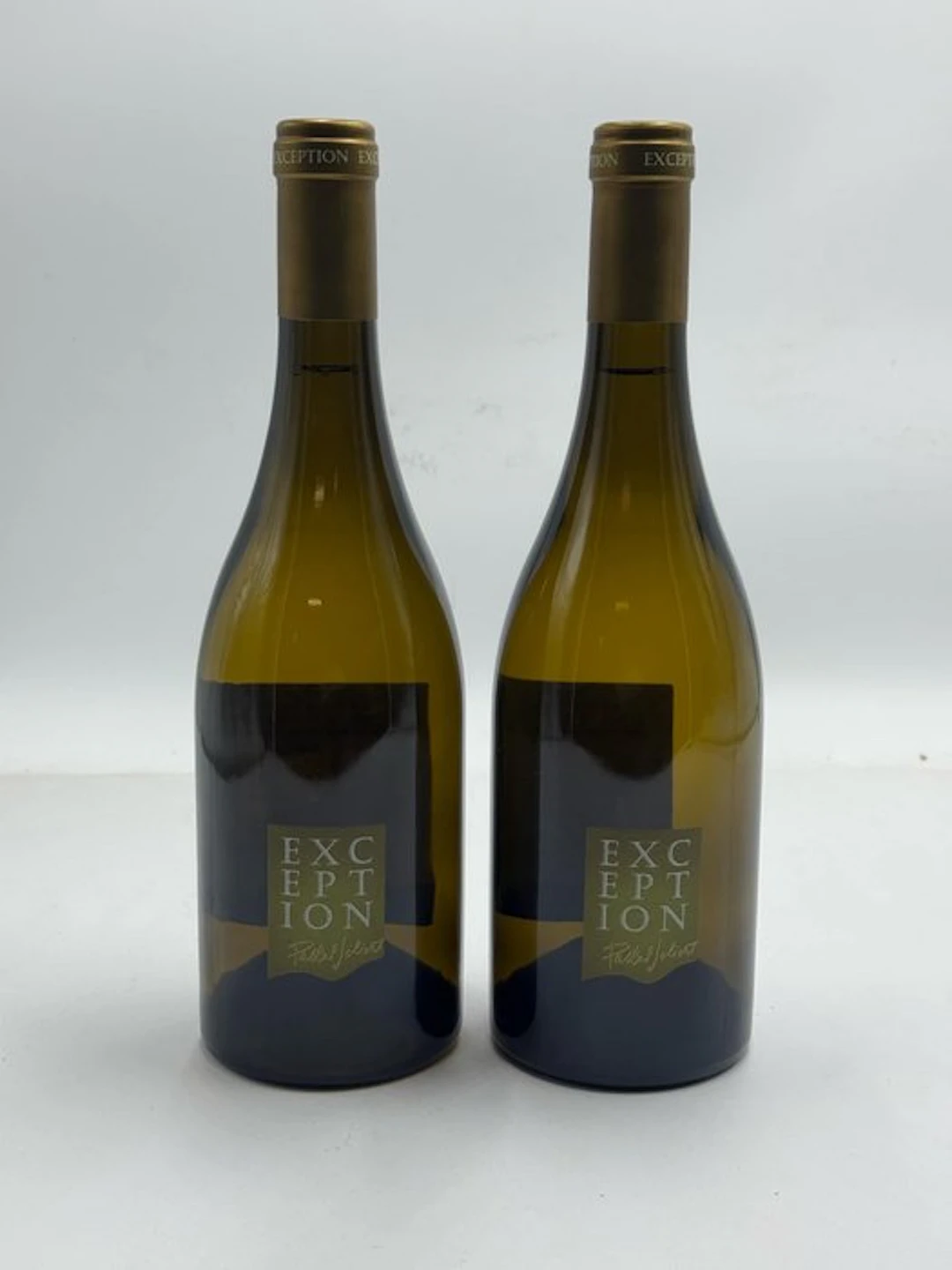 2022 Pascal Jolivet "Exception" - Sancerre - 2 Bottles (0.75L)