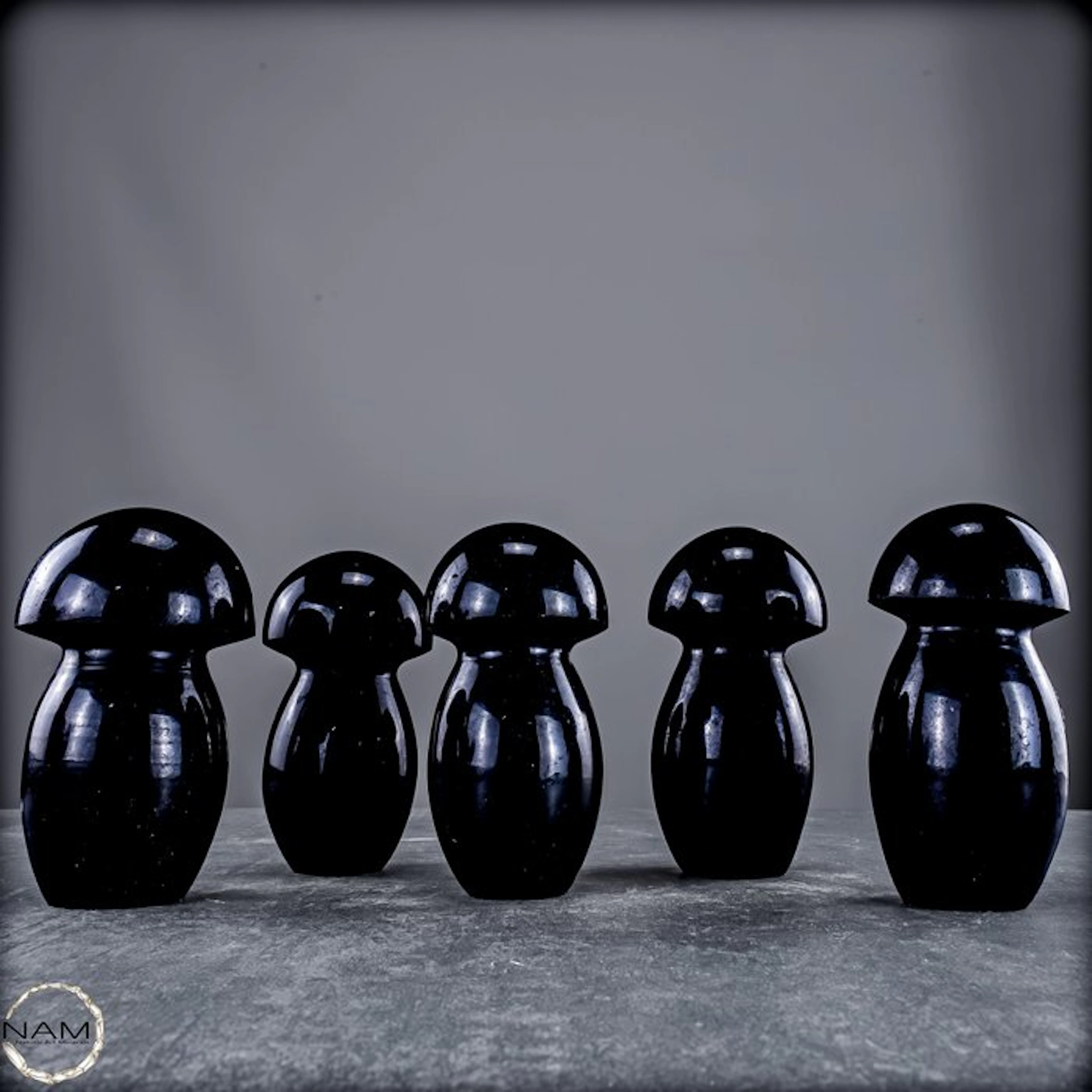 Black Tourmaline Mushroom Set – 5 hand-polished gemstone...
