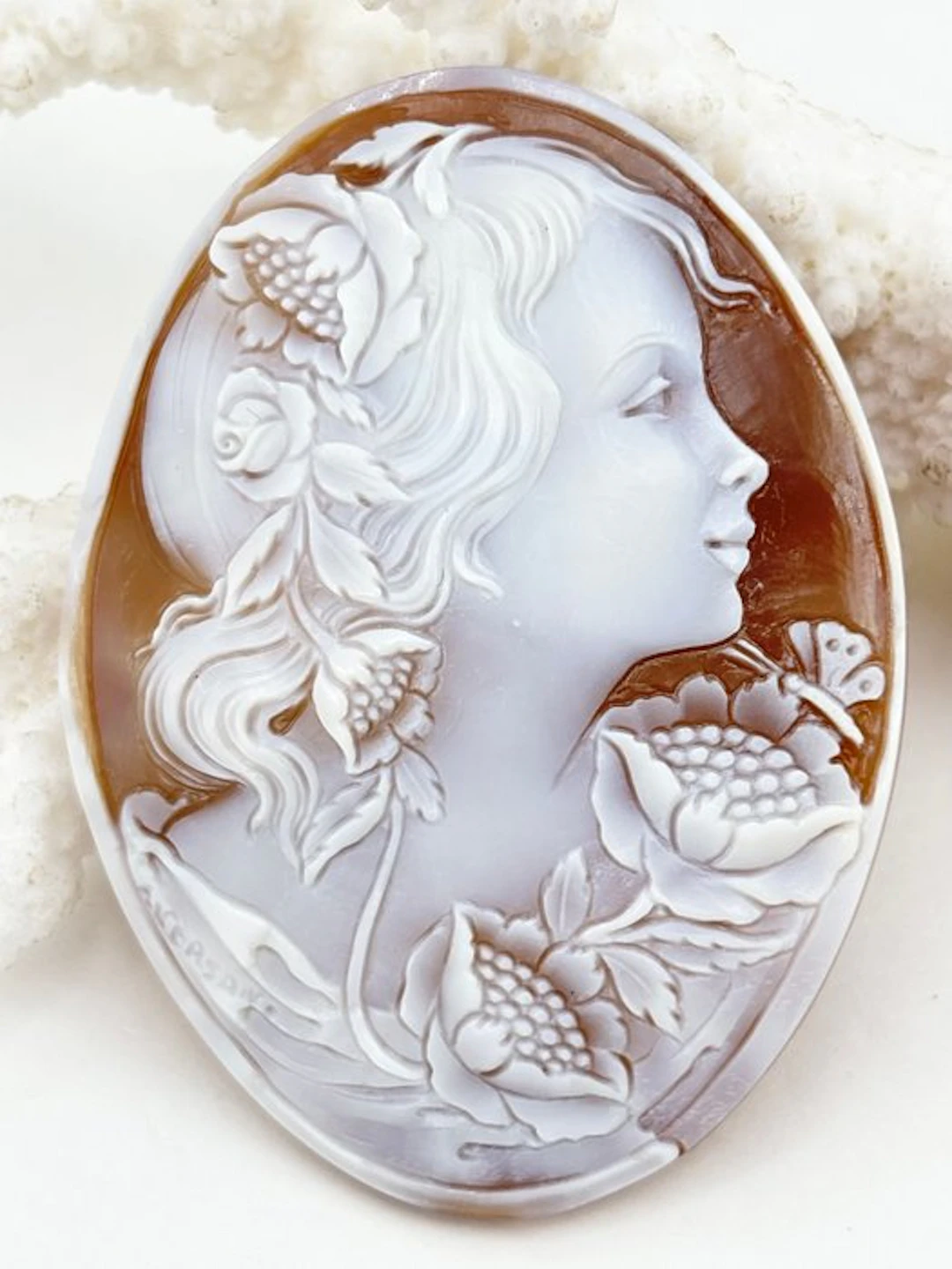 Cassis madagascariensis - Cameo - Hand-engraved cameo
