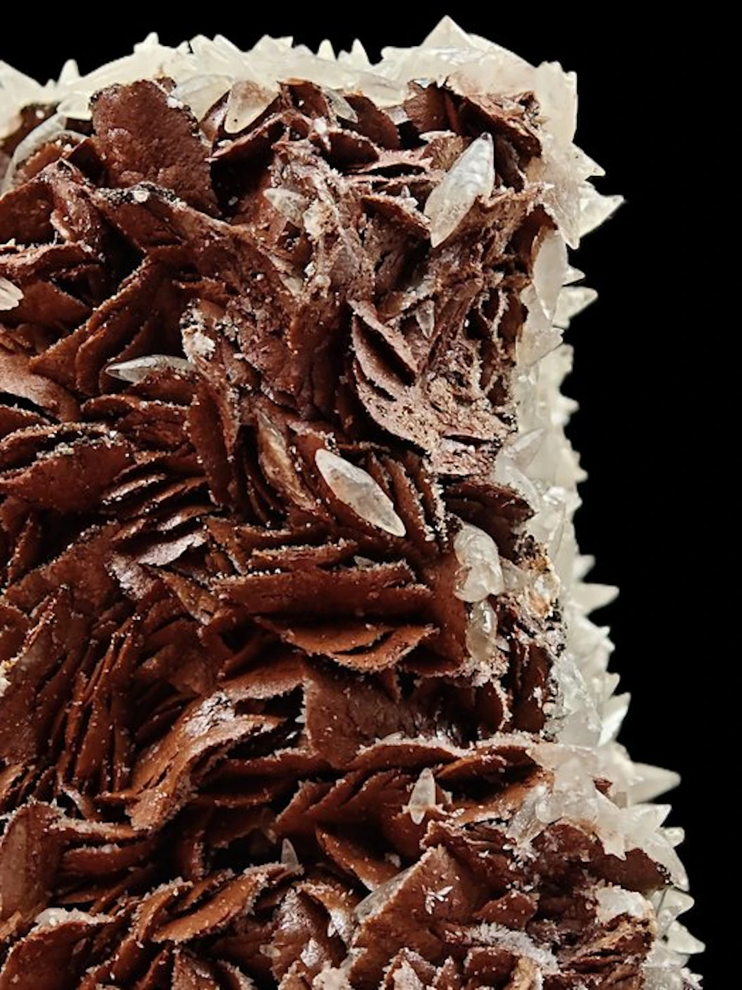 ALPINO, RED SIDERITE with HINGED CALCITE