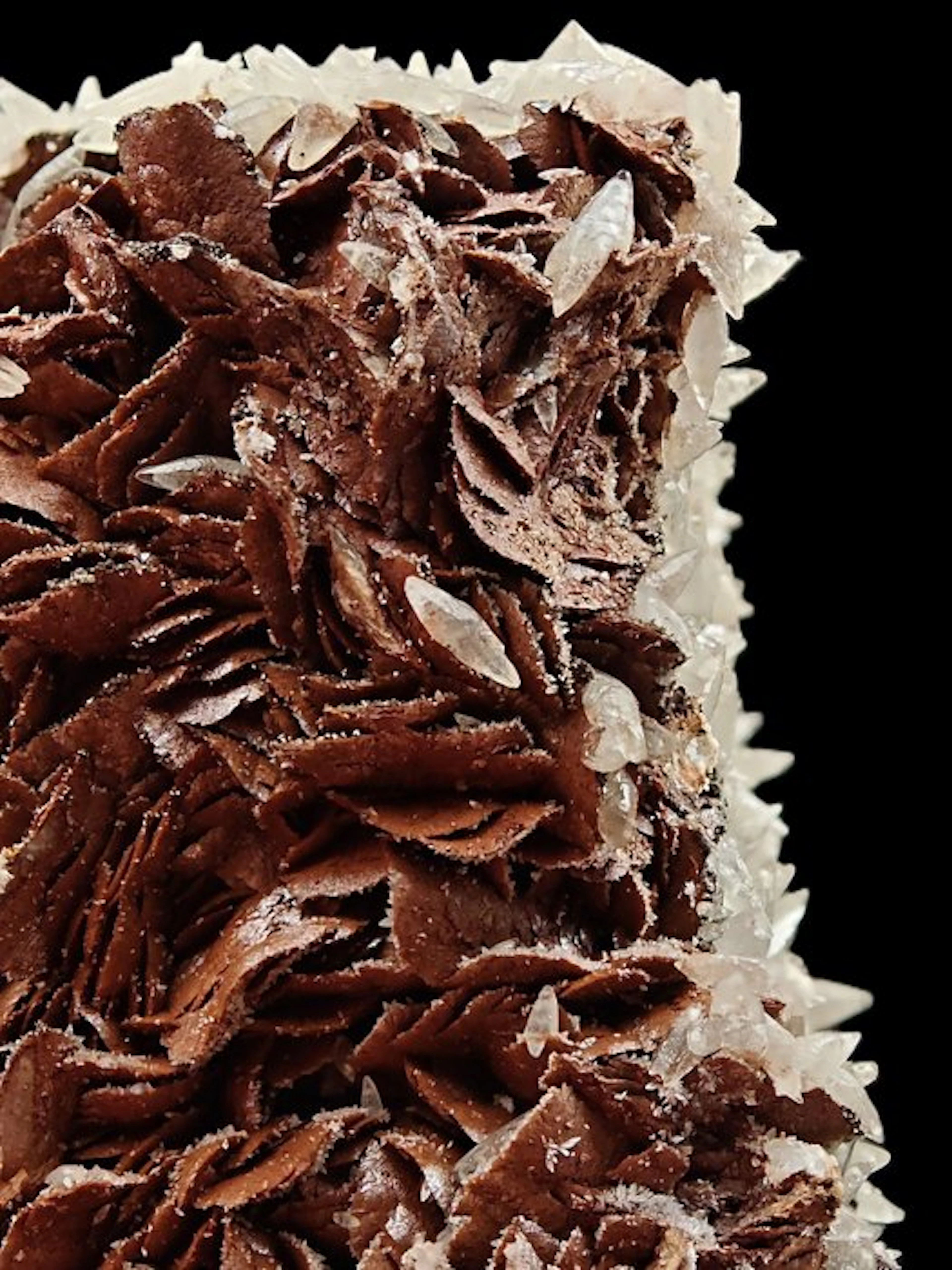 ALPINO, RED SIDERITE with HINGED CALCITE