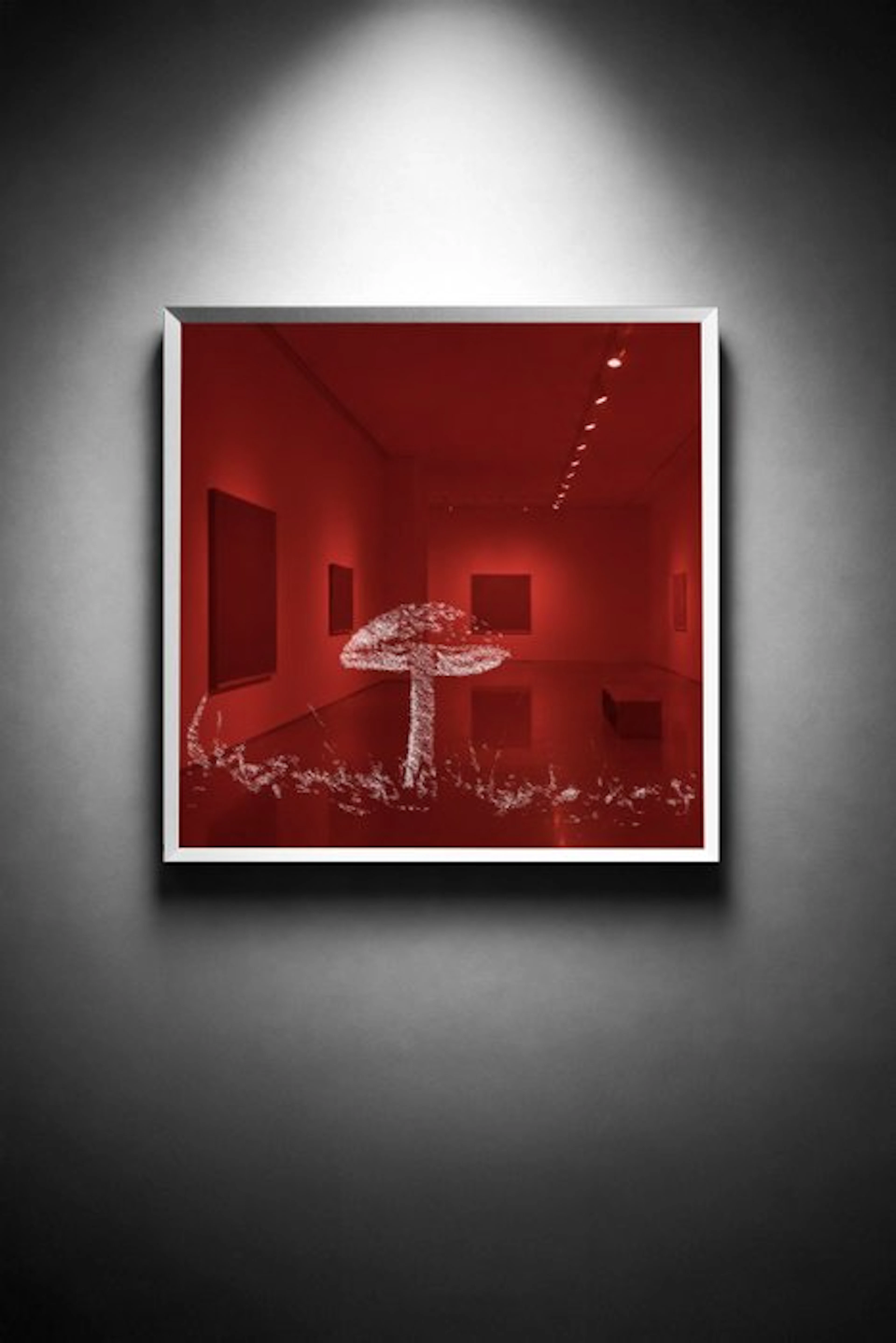 Tijs Dragtsma (1992) - A Cap Ignites the Red