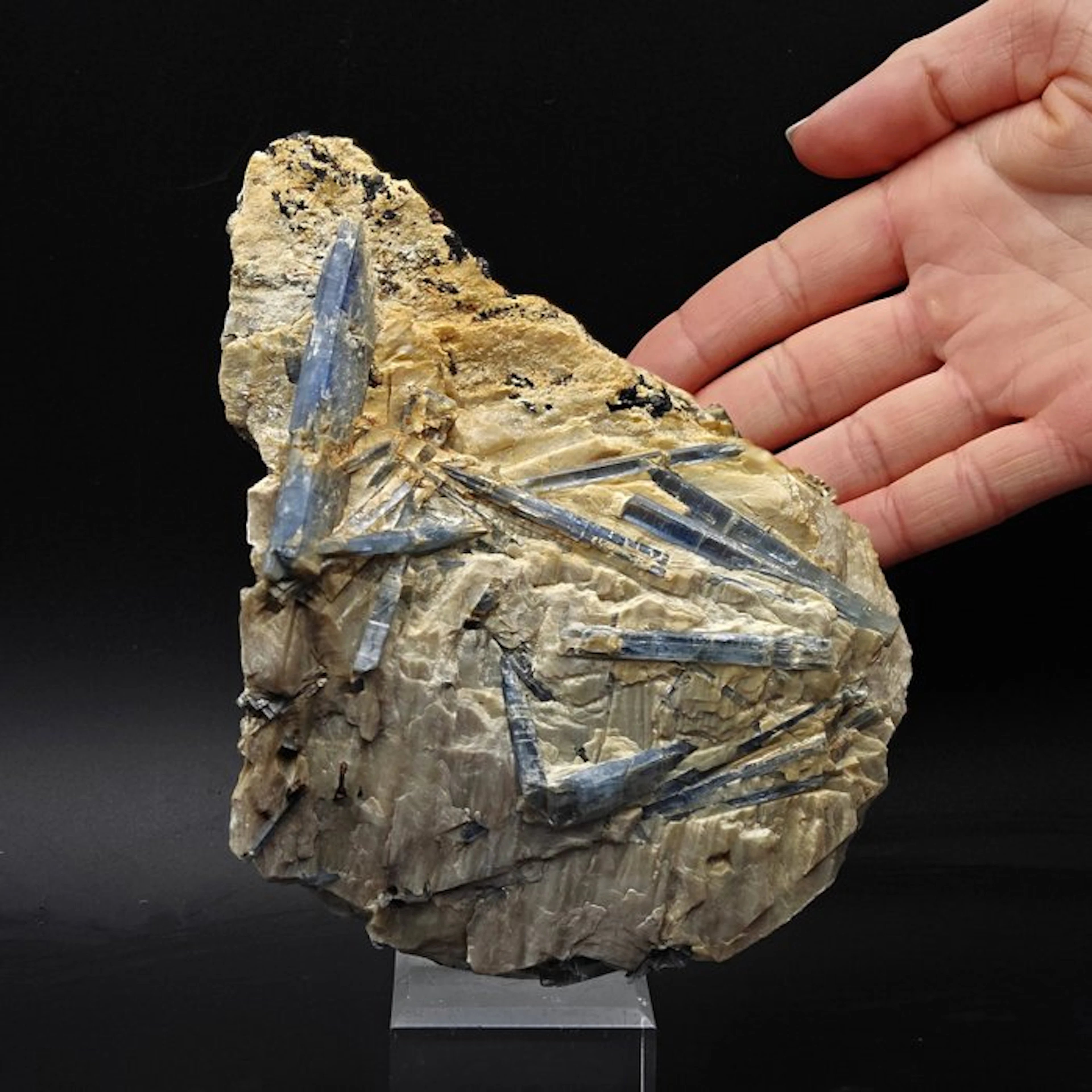 ALPINO, BLUE KYANITE and GEMMOSA