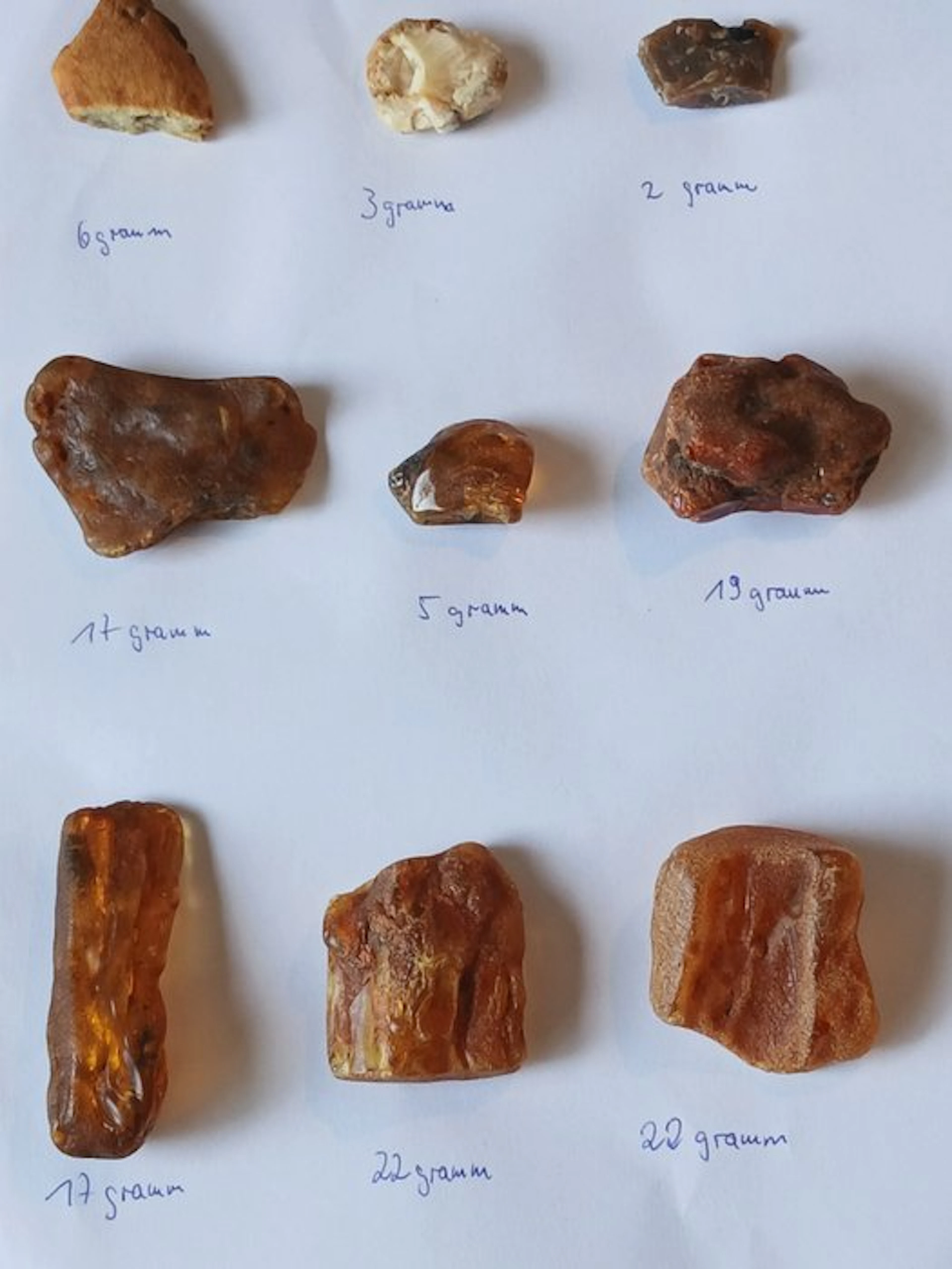 Amber - Amber - Gesamt 113 gramm teilweise mit Einschlüsse (No reserve price)