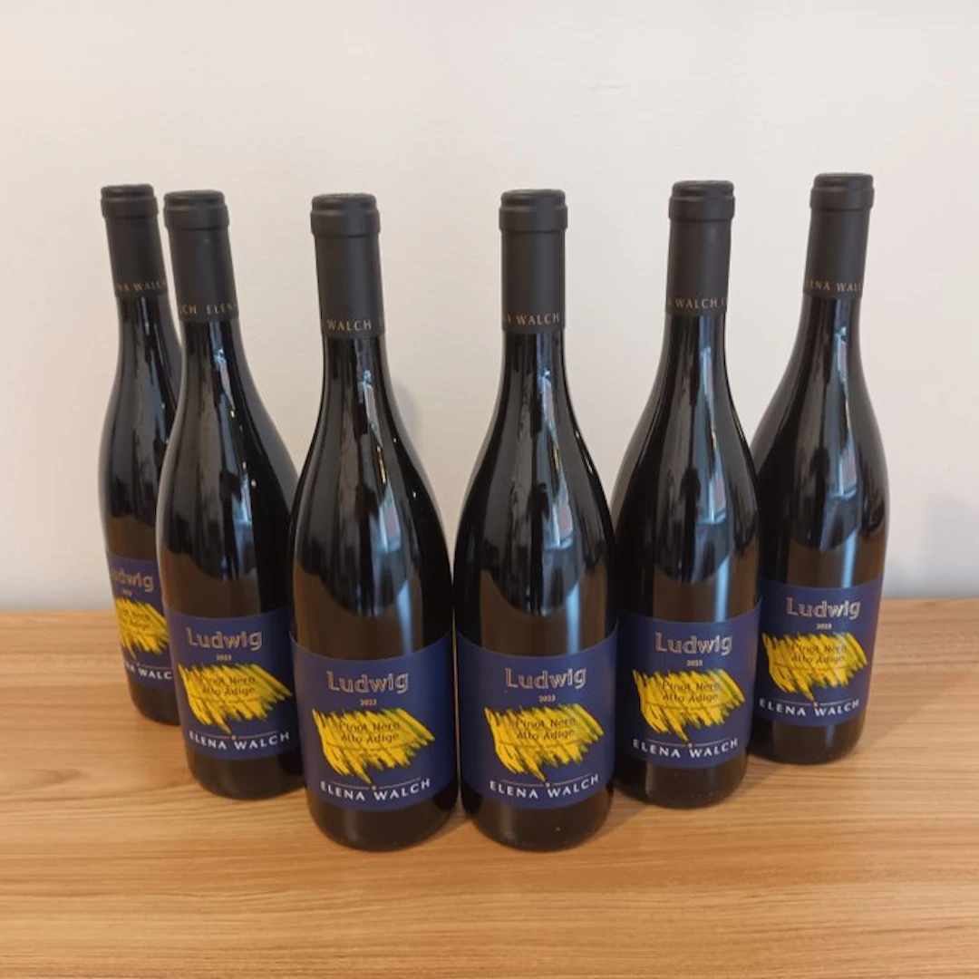 2023 Elena Walch Ludwig - Trentino Alto Adige - 6 Bottles (0.75L)