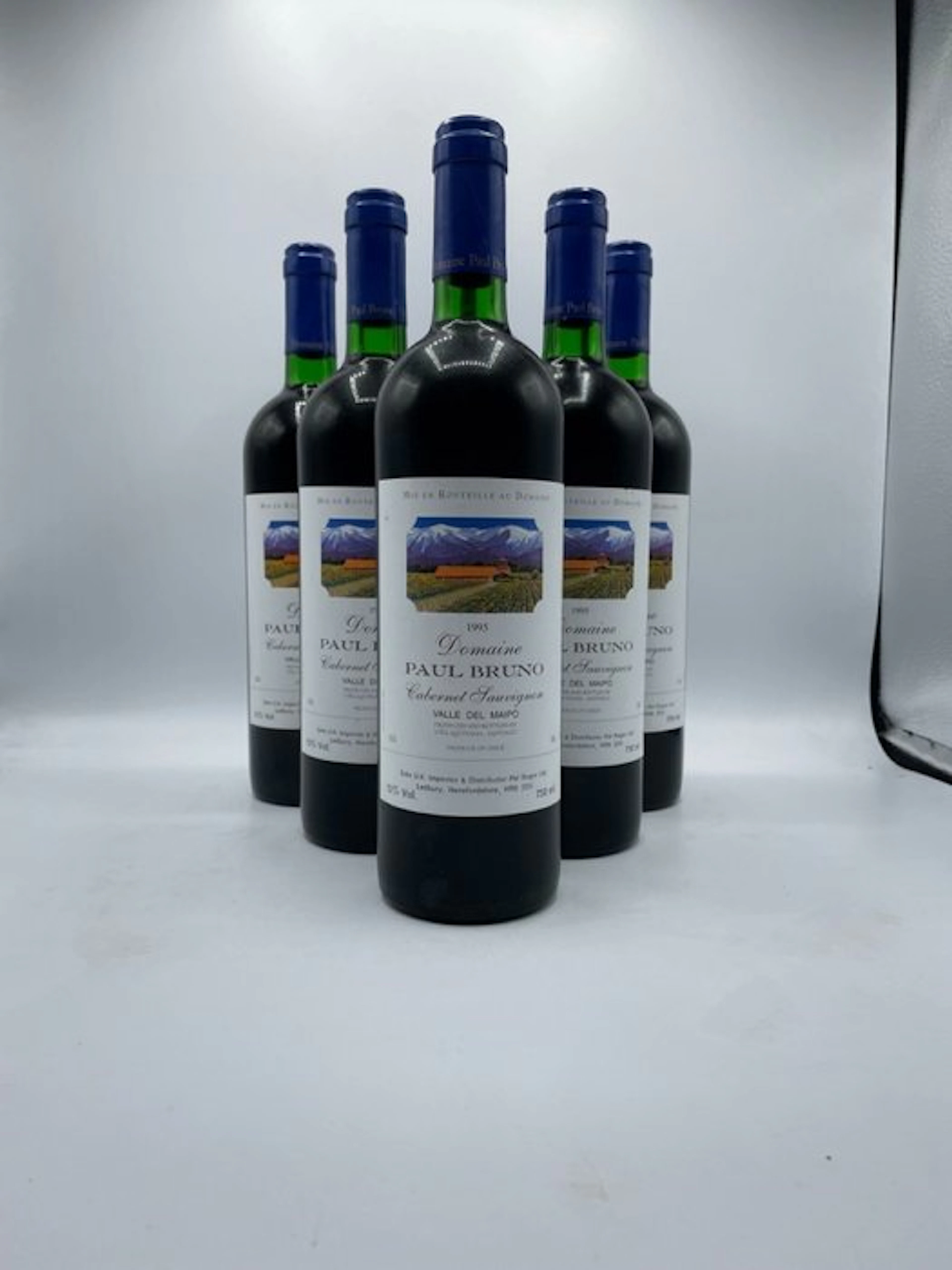 1995 Domaine Paul Bruno, Valle del Maipo - Maipo Valley - 6 Bottles (0.75L)