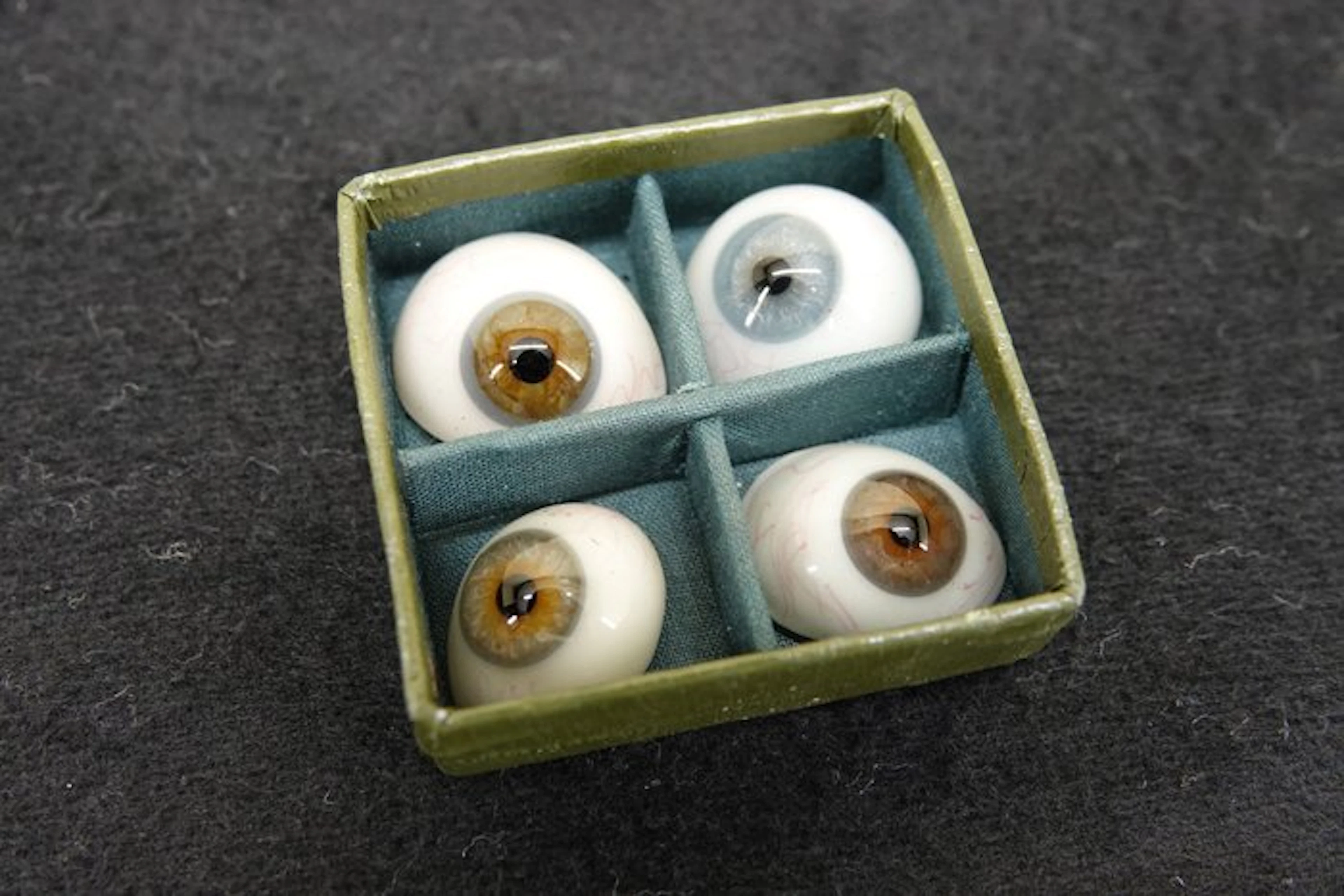 antique human glass eyes Taxidermy full body mount - mix...