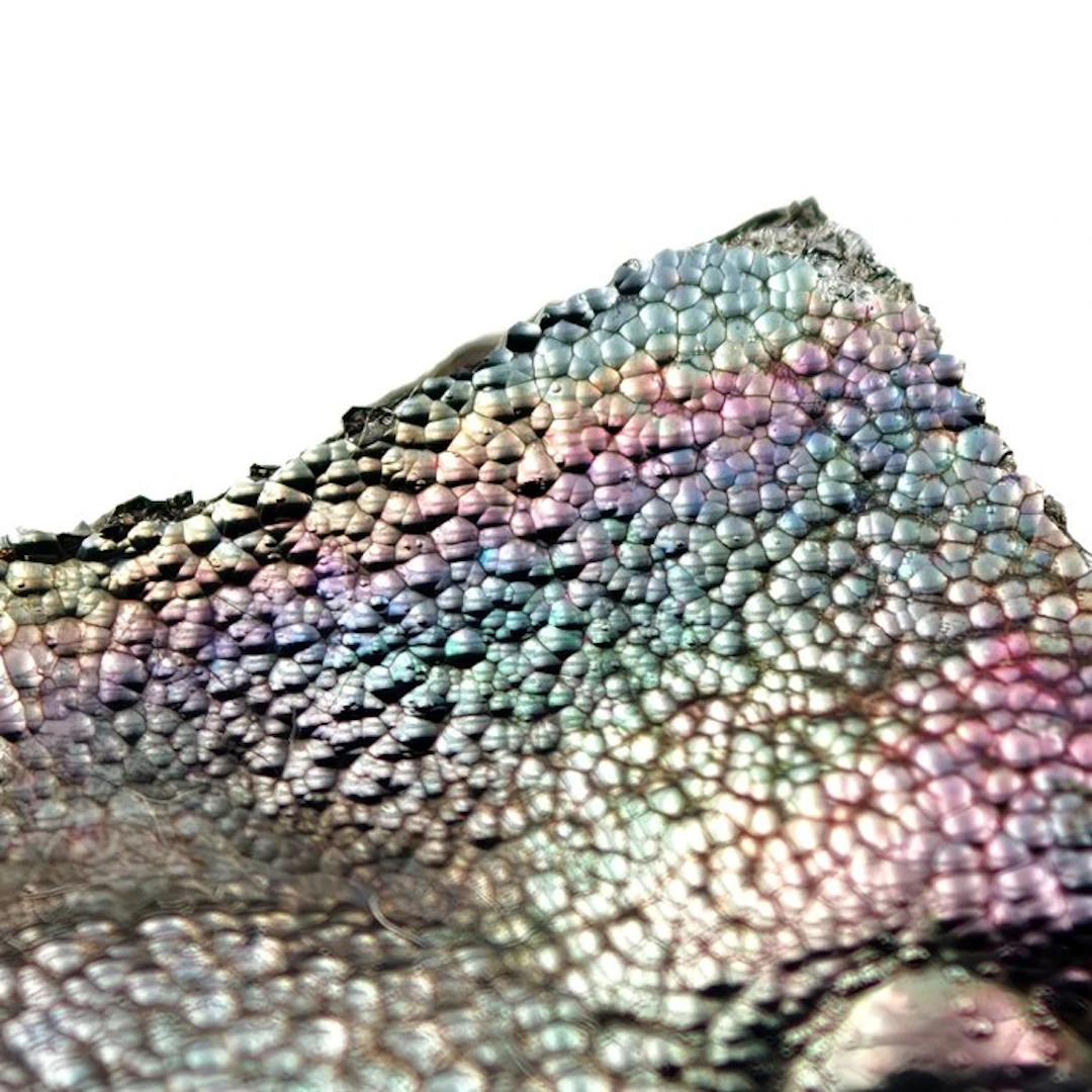 Mammellonated goethite