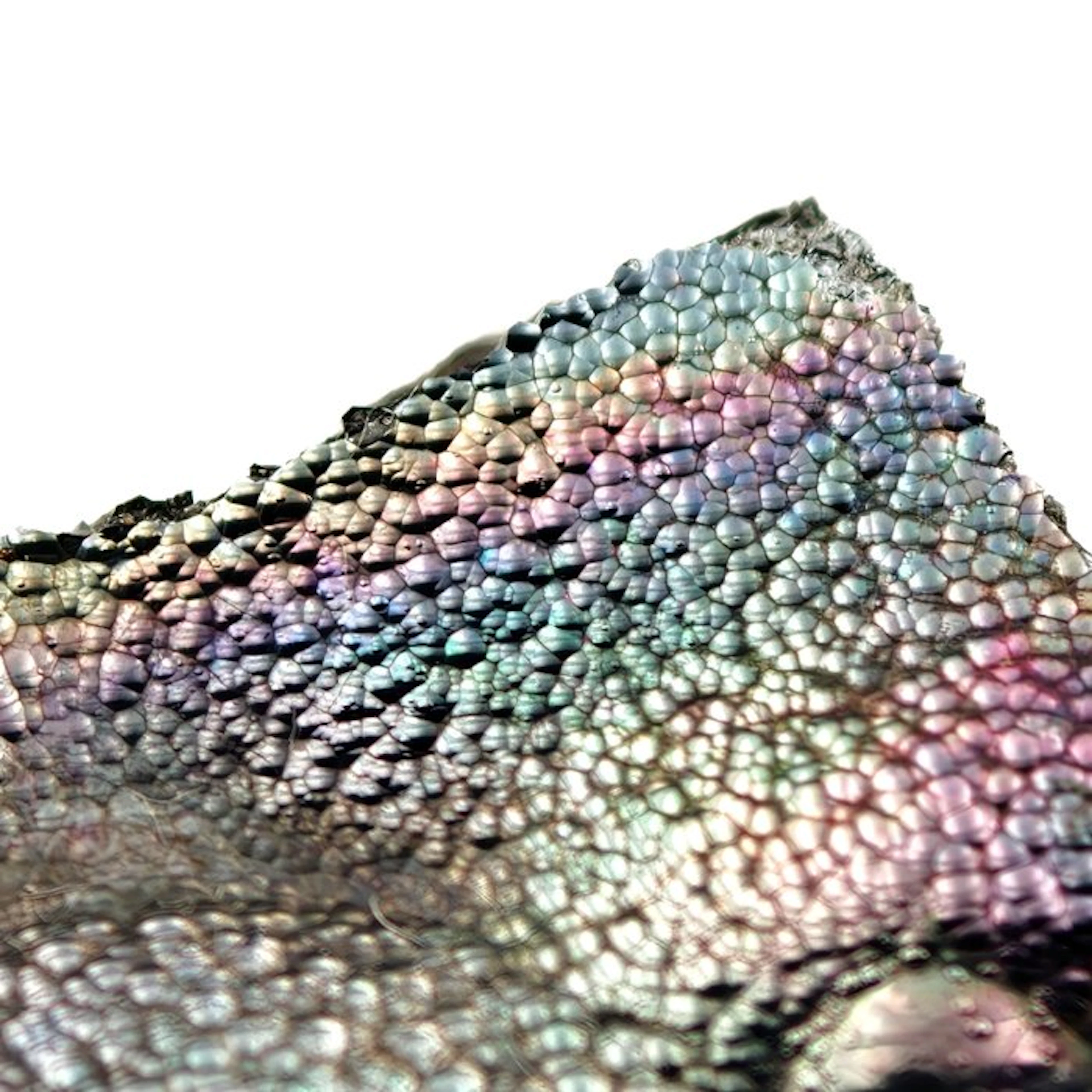 Mammellonated goethite