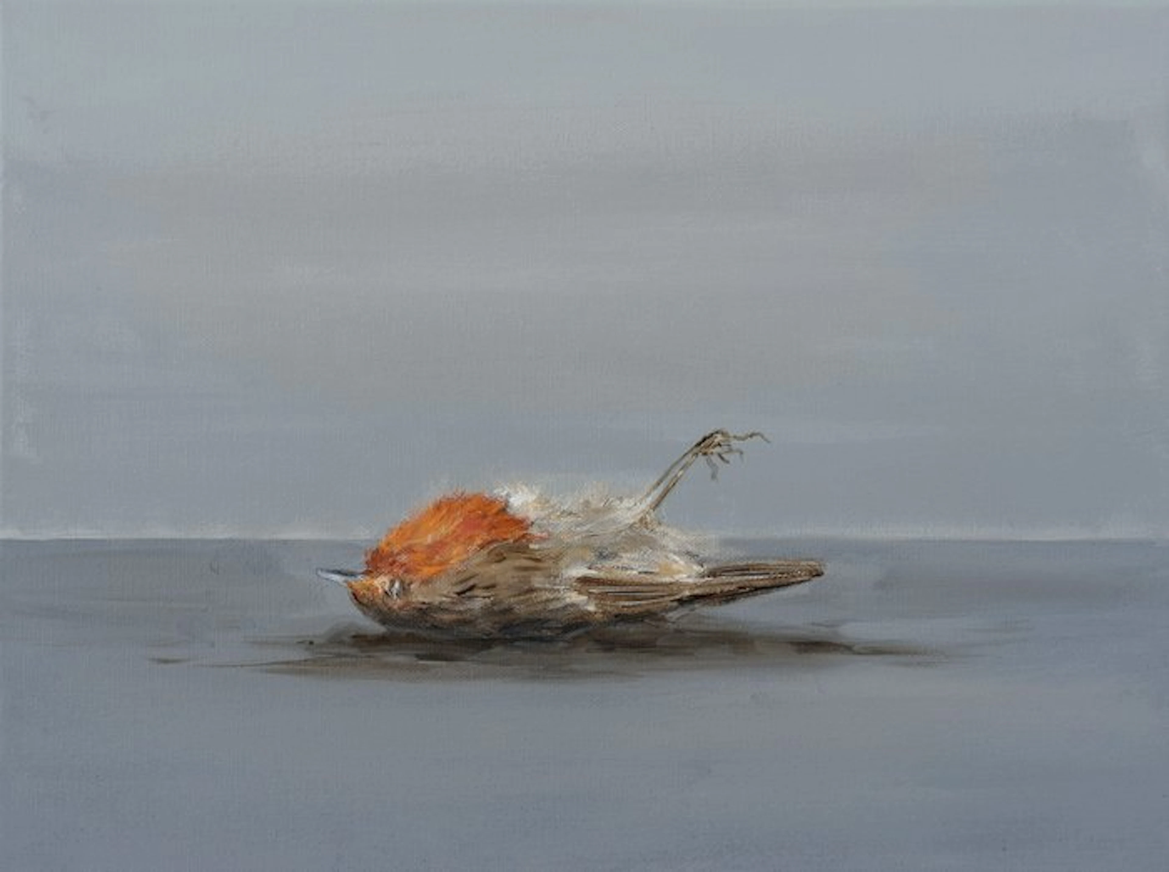 Matthieu van Riel - Dood roodborstje