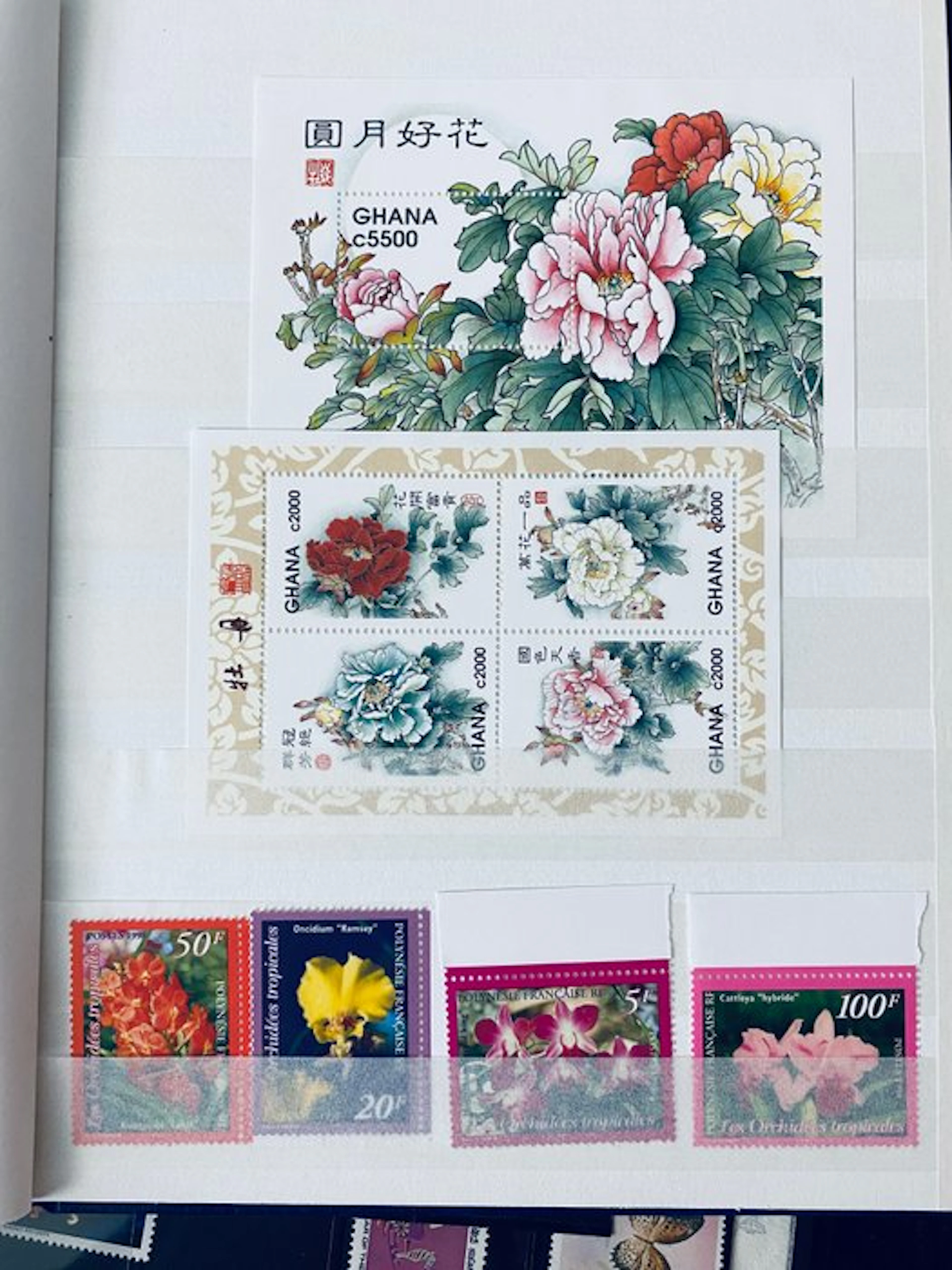 World - Batch of mint blocks worldwide + complete sheets of Flowers Argentina
