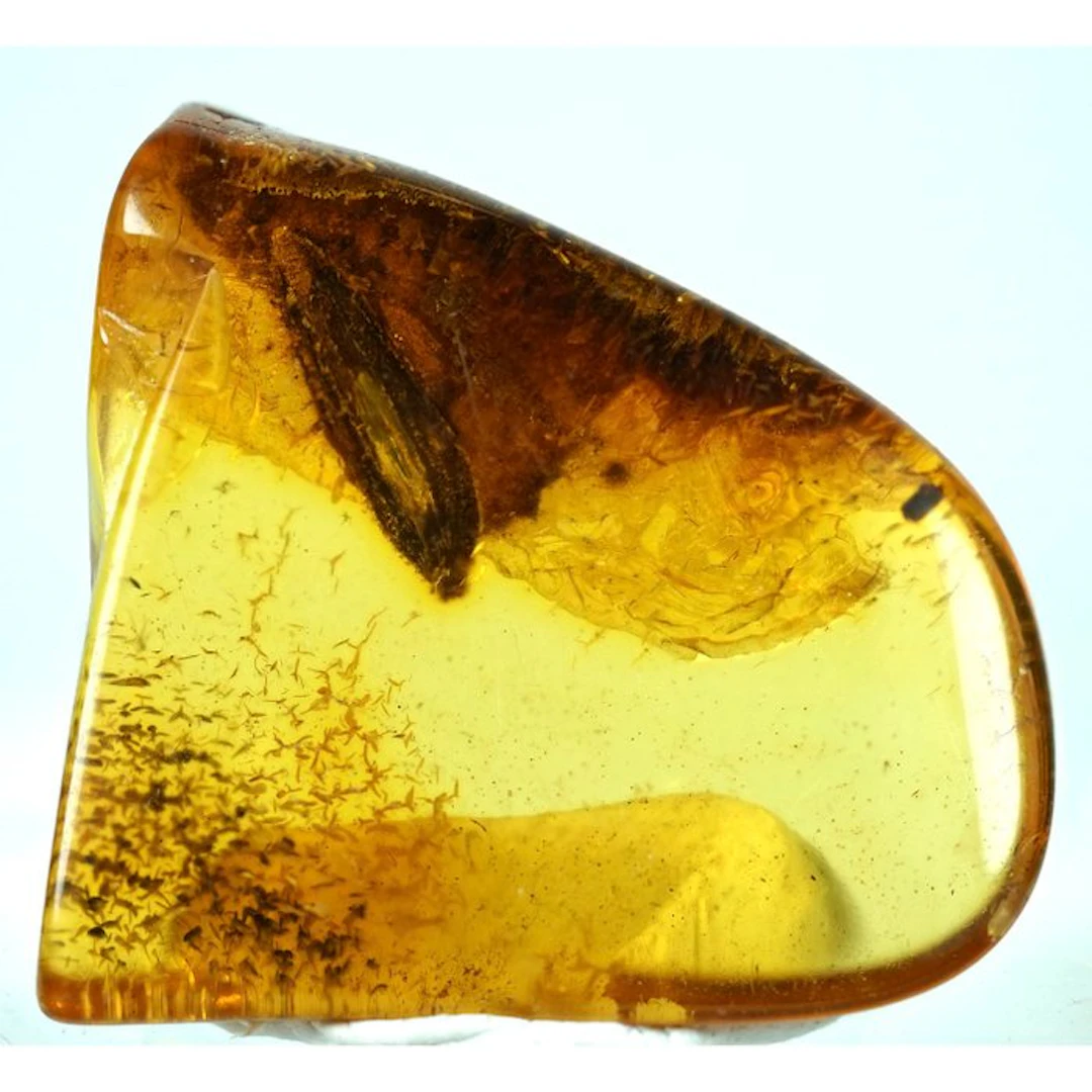 Amber - Amber - Fly inclusiosn - Inclusion its 4mm - 25...