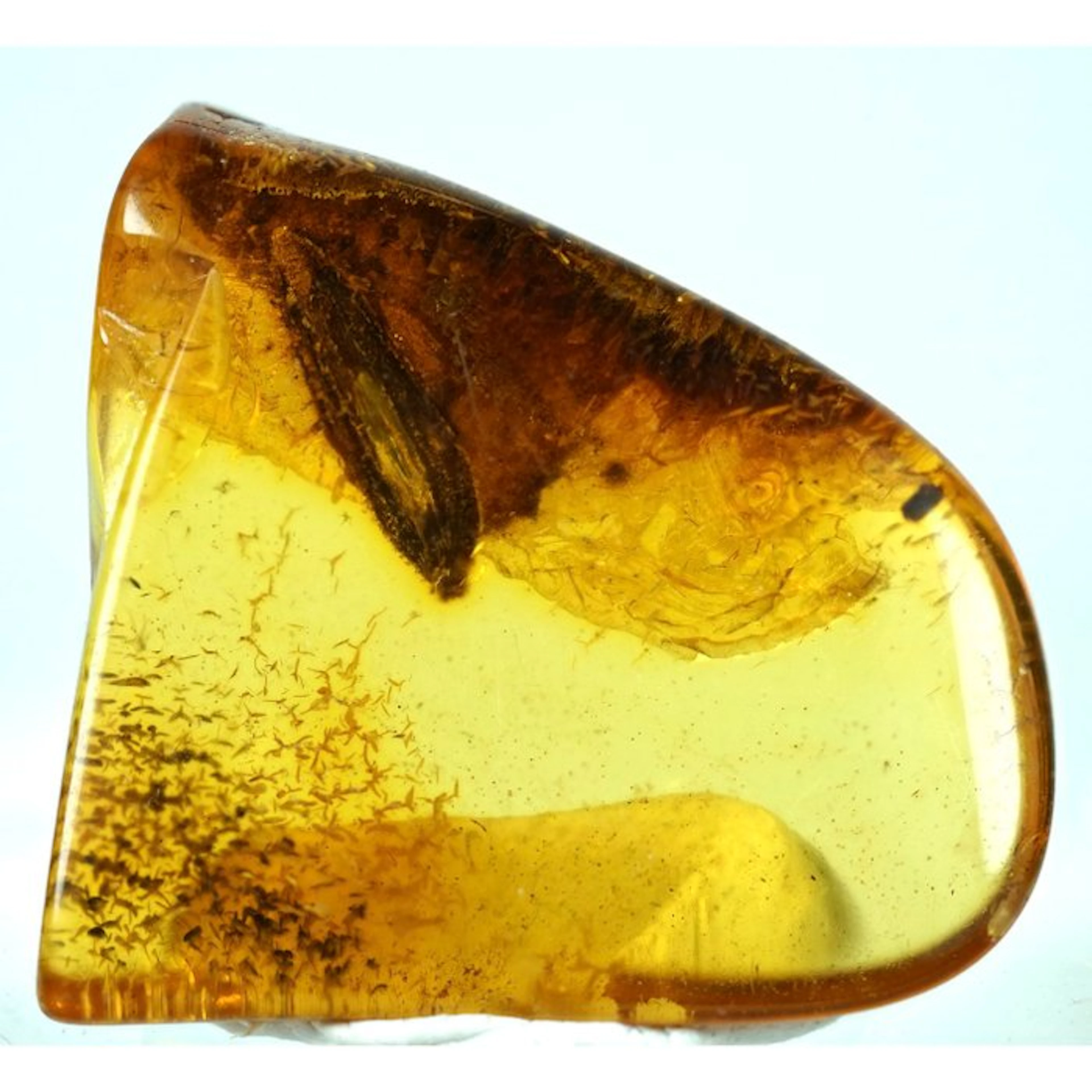 Amber - Amber - Fly inclusiosn - Inclusion its 4mm - 25...