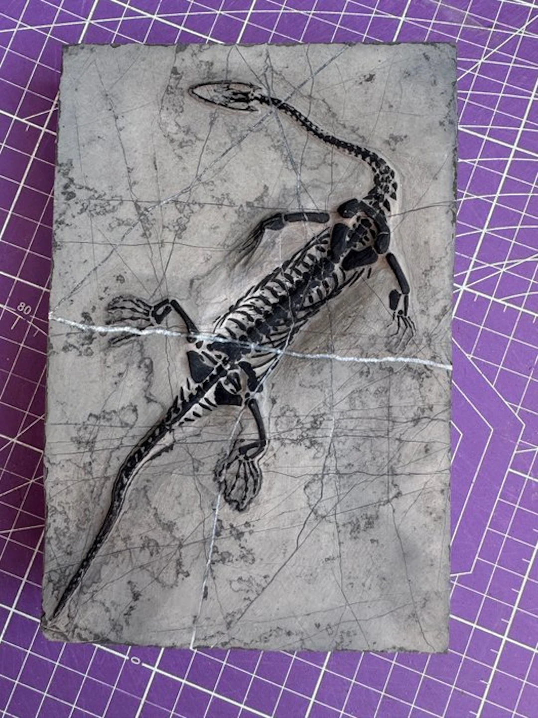 Fossil reptile: Keichousaurus - a rare testimony from the...