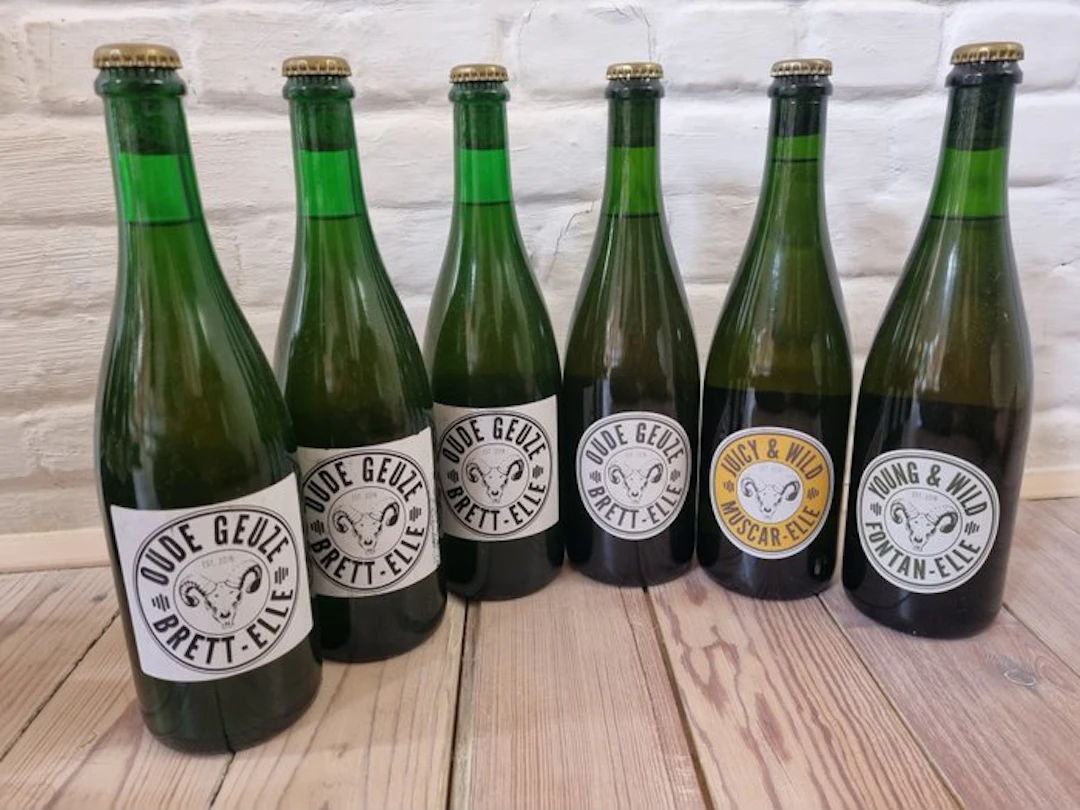 Lambiek Fabriek - Various beers 2017 - 2020 - 75cl - 6 bottles