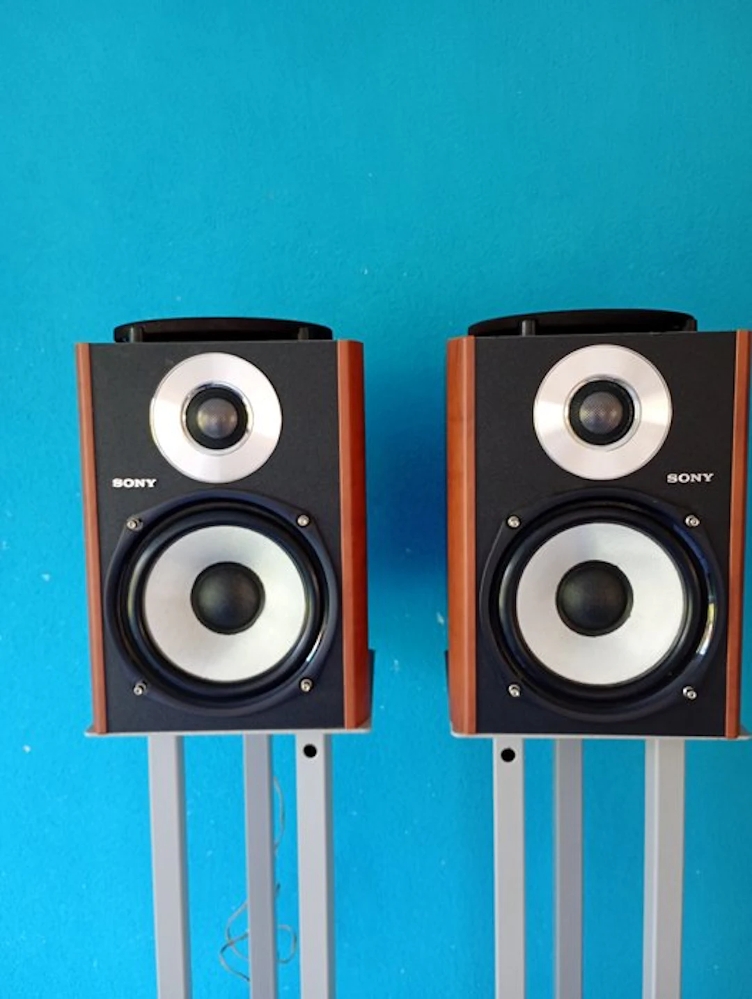 Sony - SS-CCPZ2 Speaker set