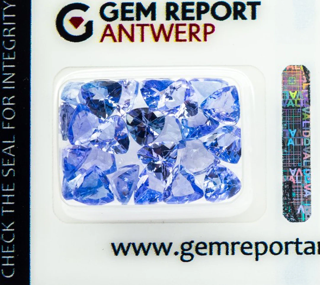 No reserve price - 24 pcs Tanzanite - 9.74 ct - Gem...