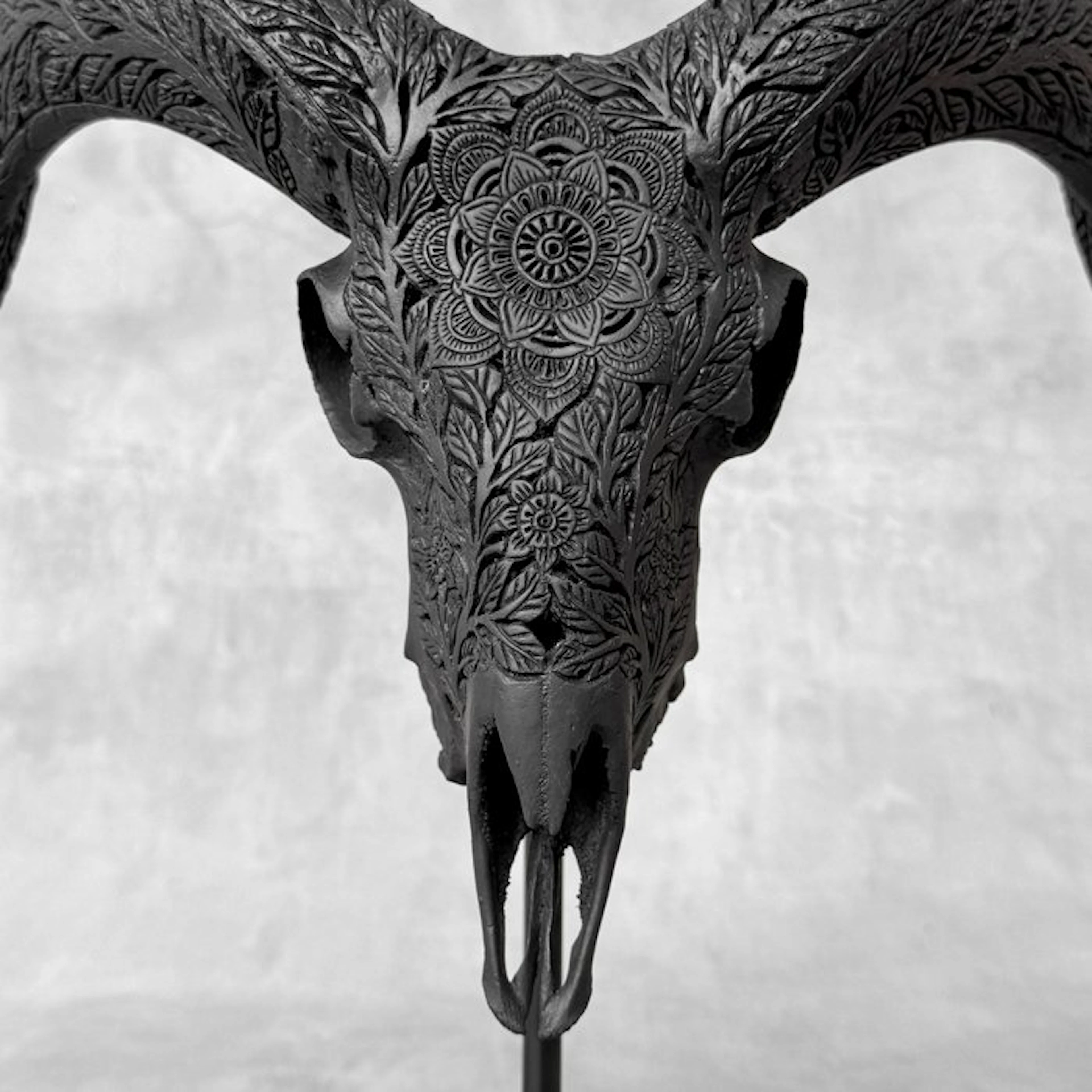 NO RESERVE PRICE - Black Carved Ram Skull with Carved...