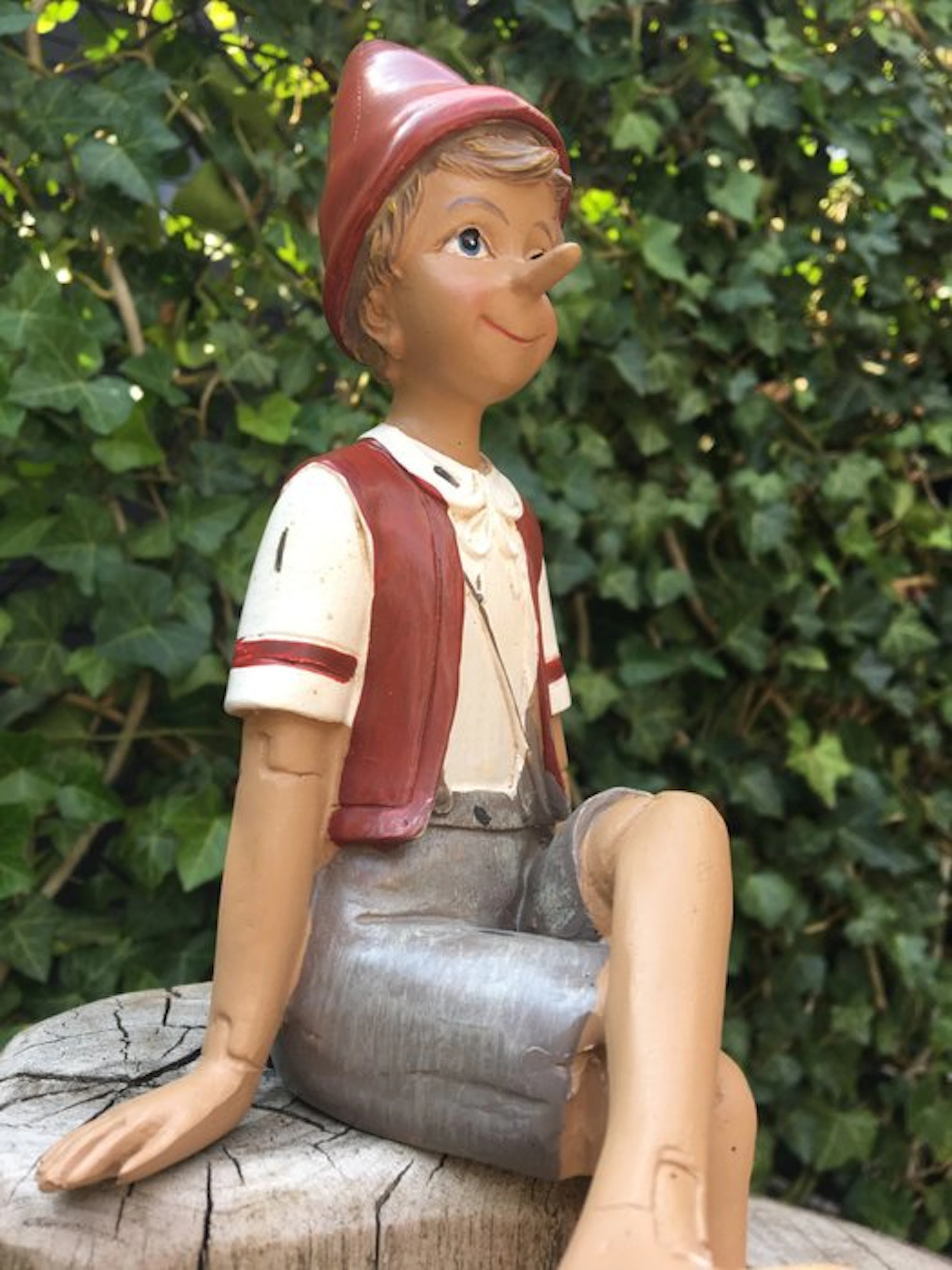 Figure - THE ADVENTURE PINOKKIO - Resin