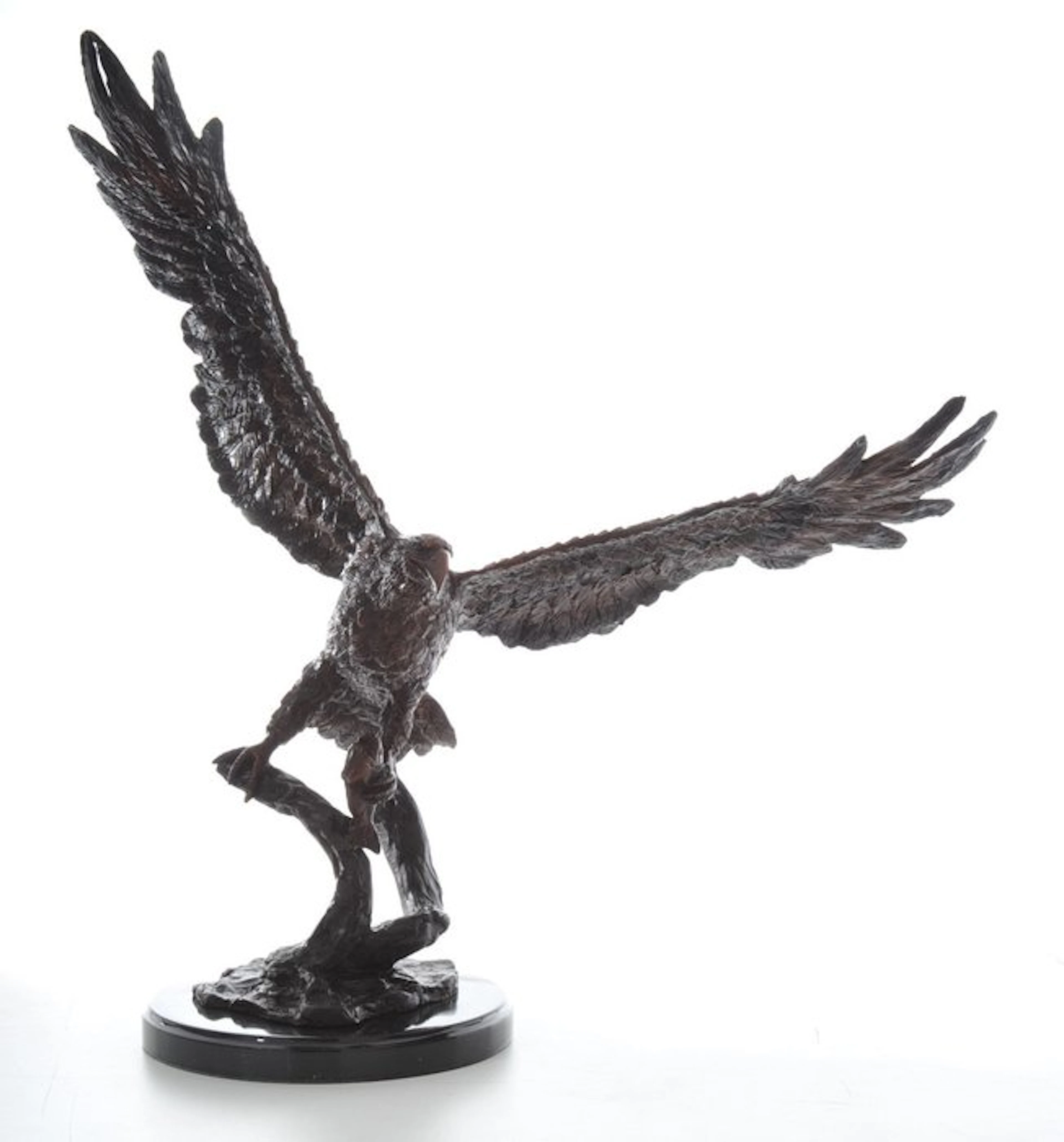Sculpture, giant eagle on a tree - 60 cm - Bronze