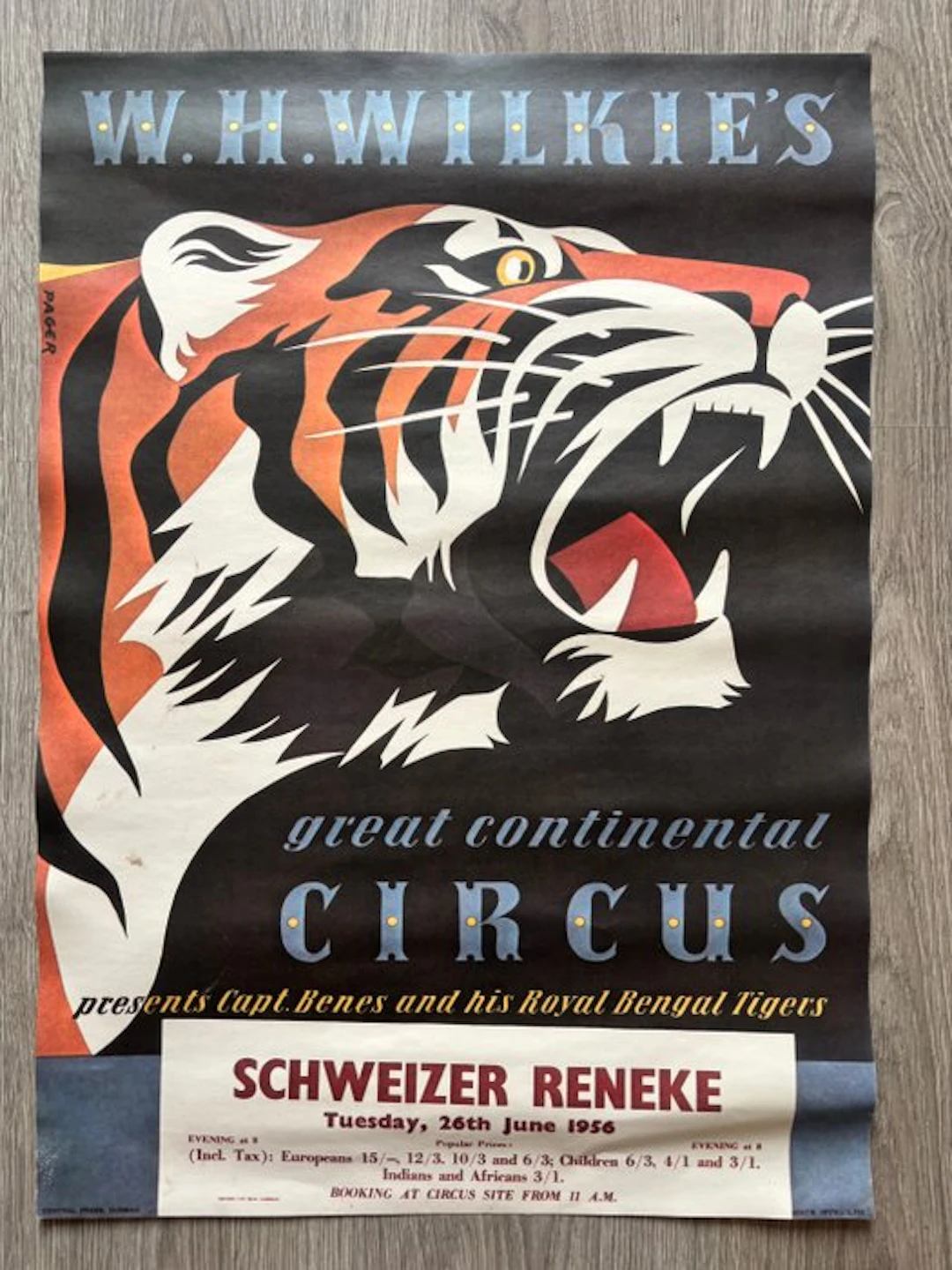 Pacer - W.H. Wilkie’s Great Continental Circus - 1970s