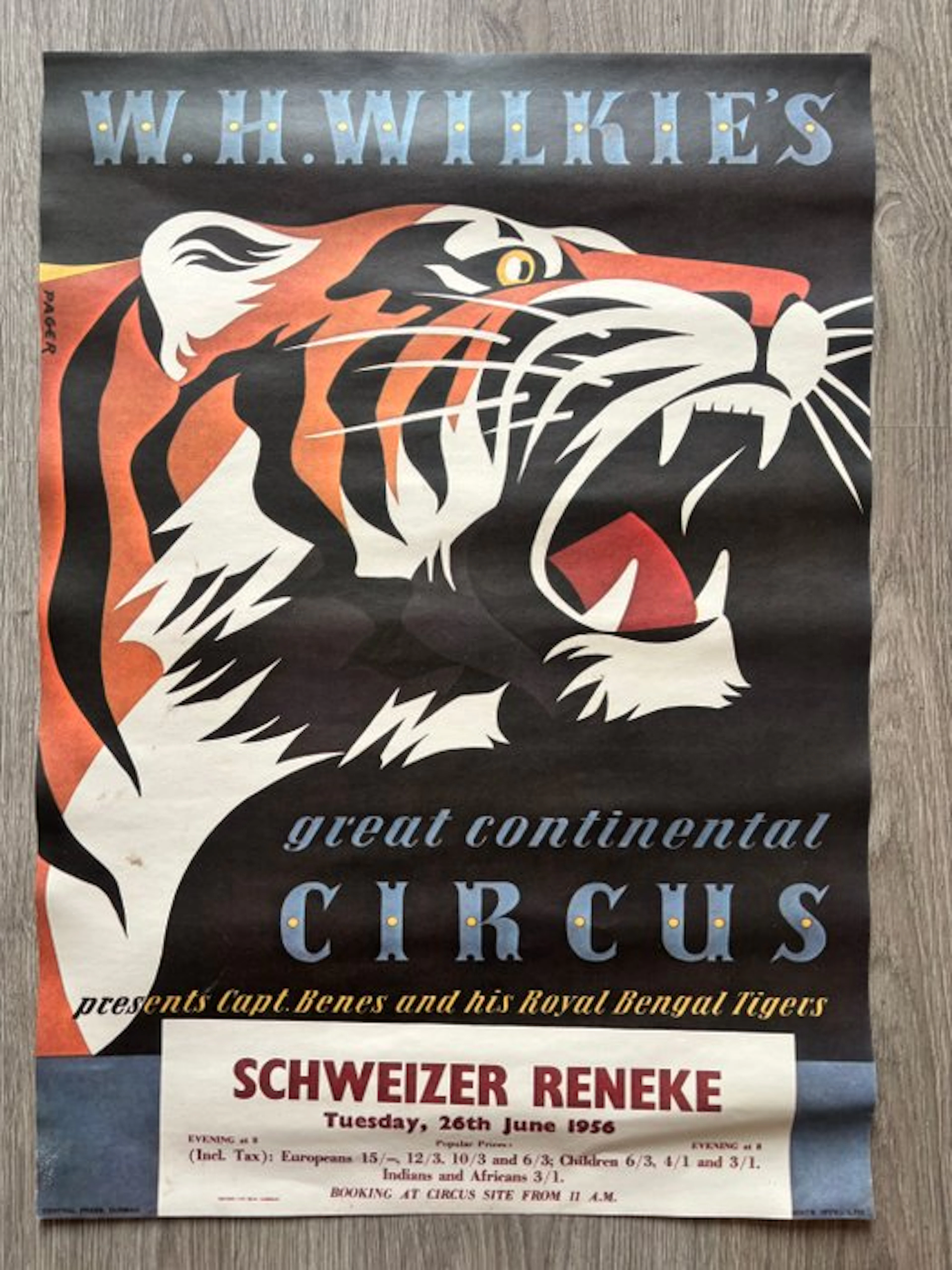 Pacer - W.H. Wilkie’s Great Continental Circus - 1970s