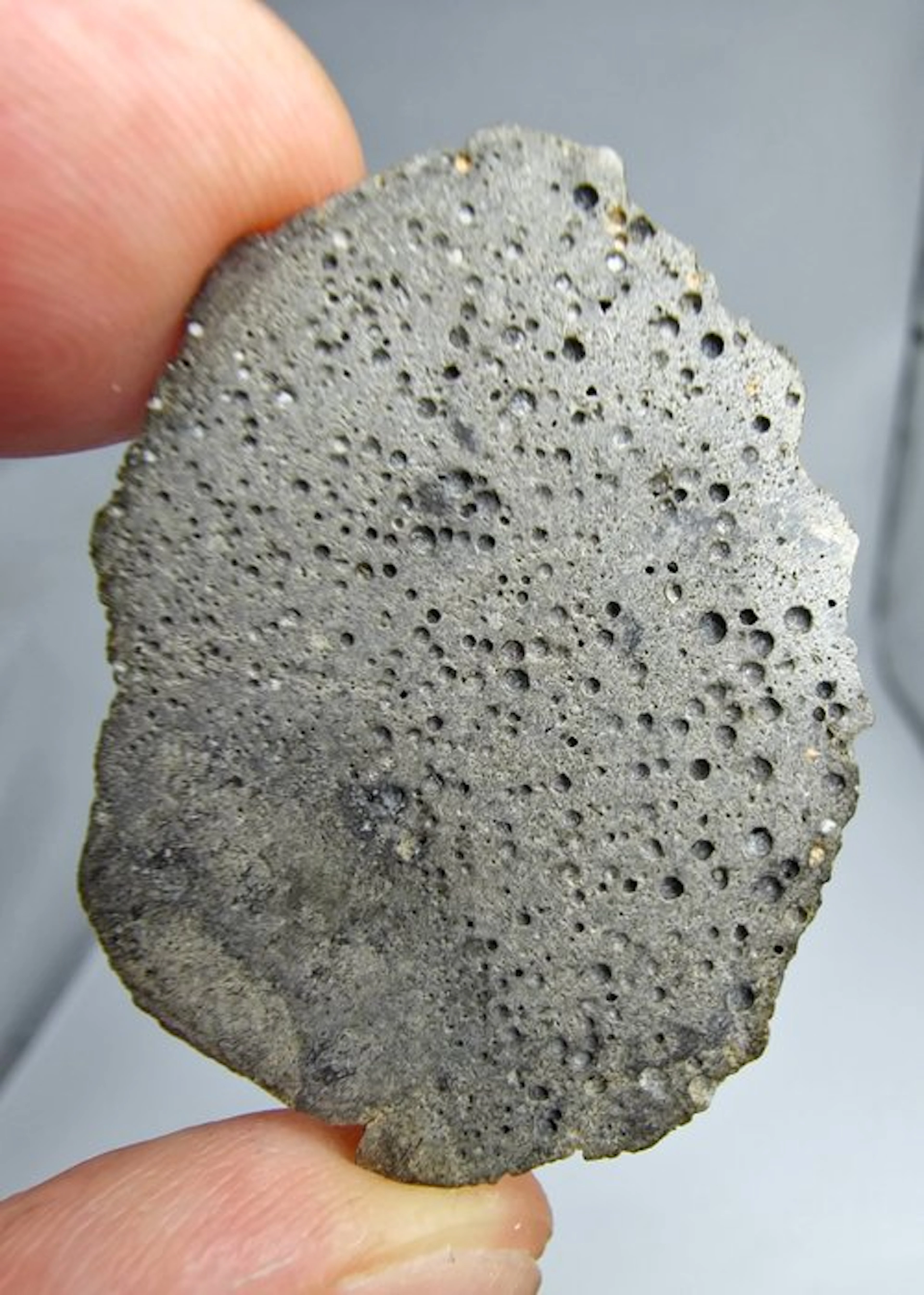 Bubbly Jikharra 001, Achondrite HED Eucrite. Super vesicular. - 9.23 g - (1)