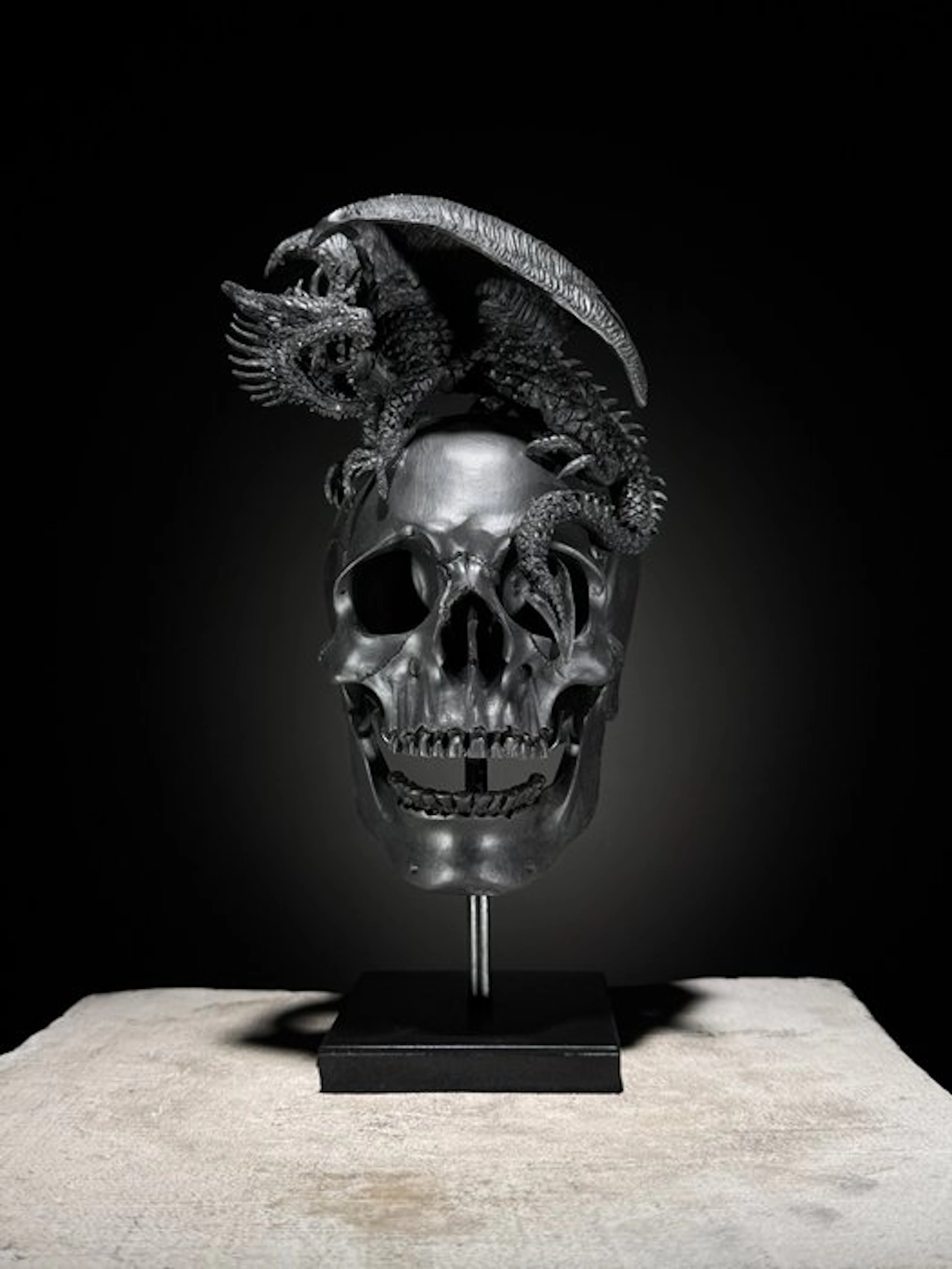 Statue, NO RESERVE PRICE - Human Skull Dragon on custom...