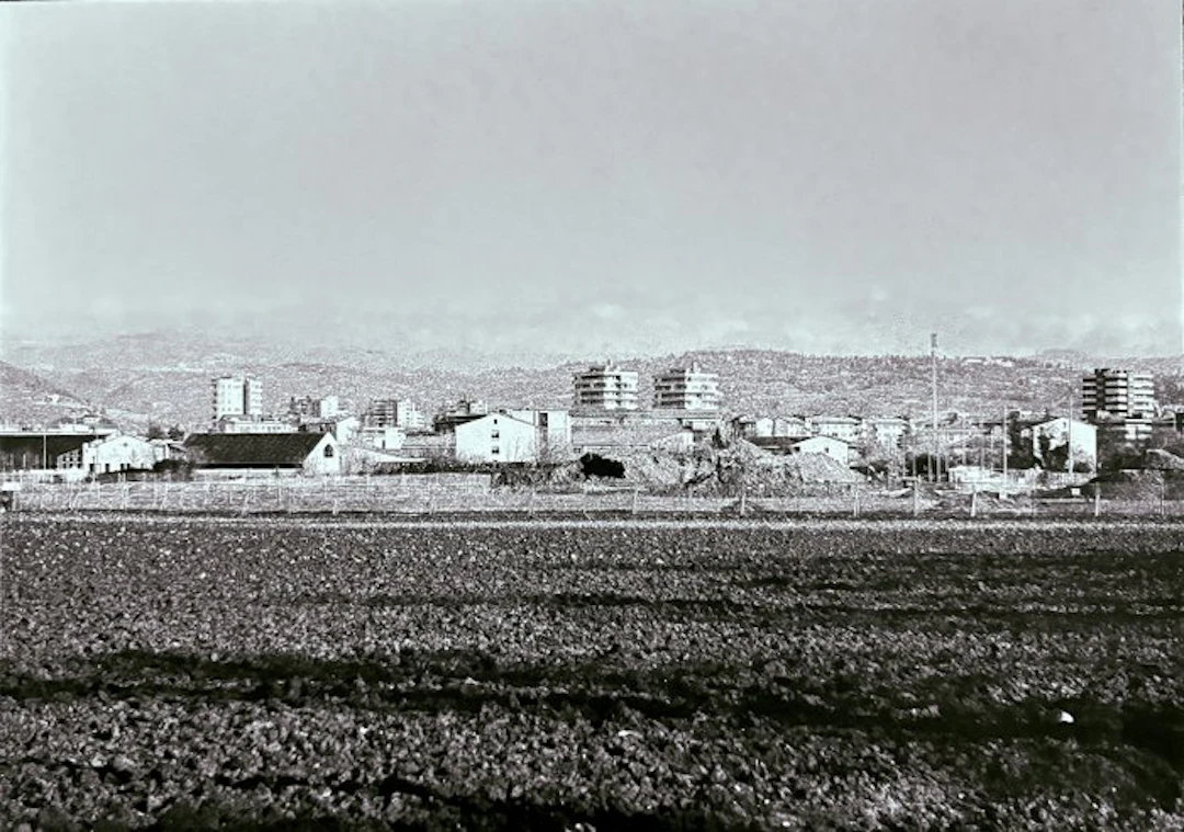 Abbas Gharib - Trees (Alberi)