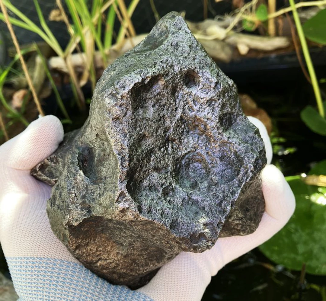 Campo del Cielo meteorite Iron meteorite - Height: 15 cm...